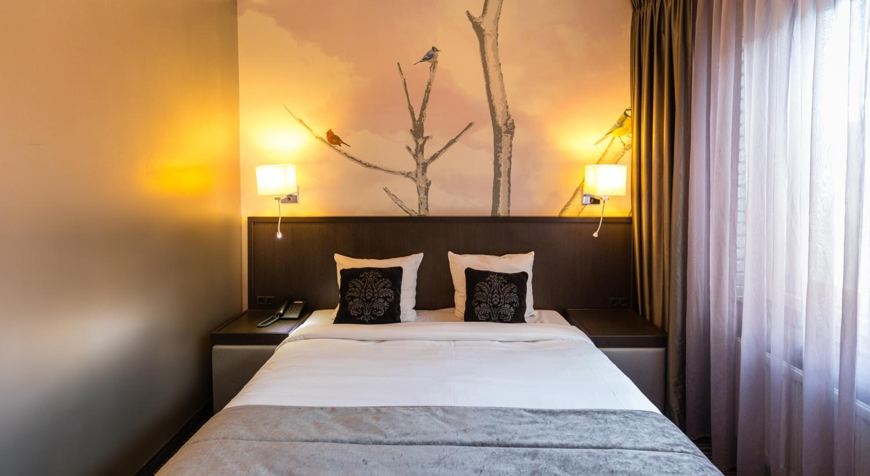 Comfort Double or Twin Room photo 3