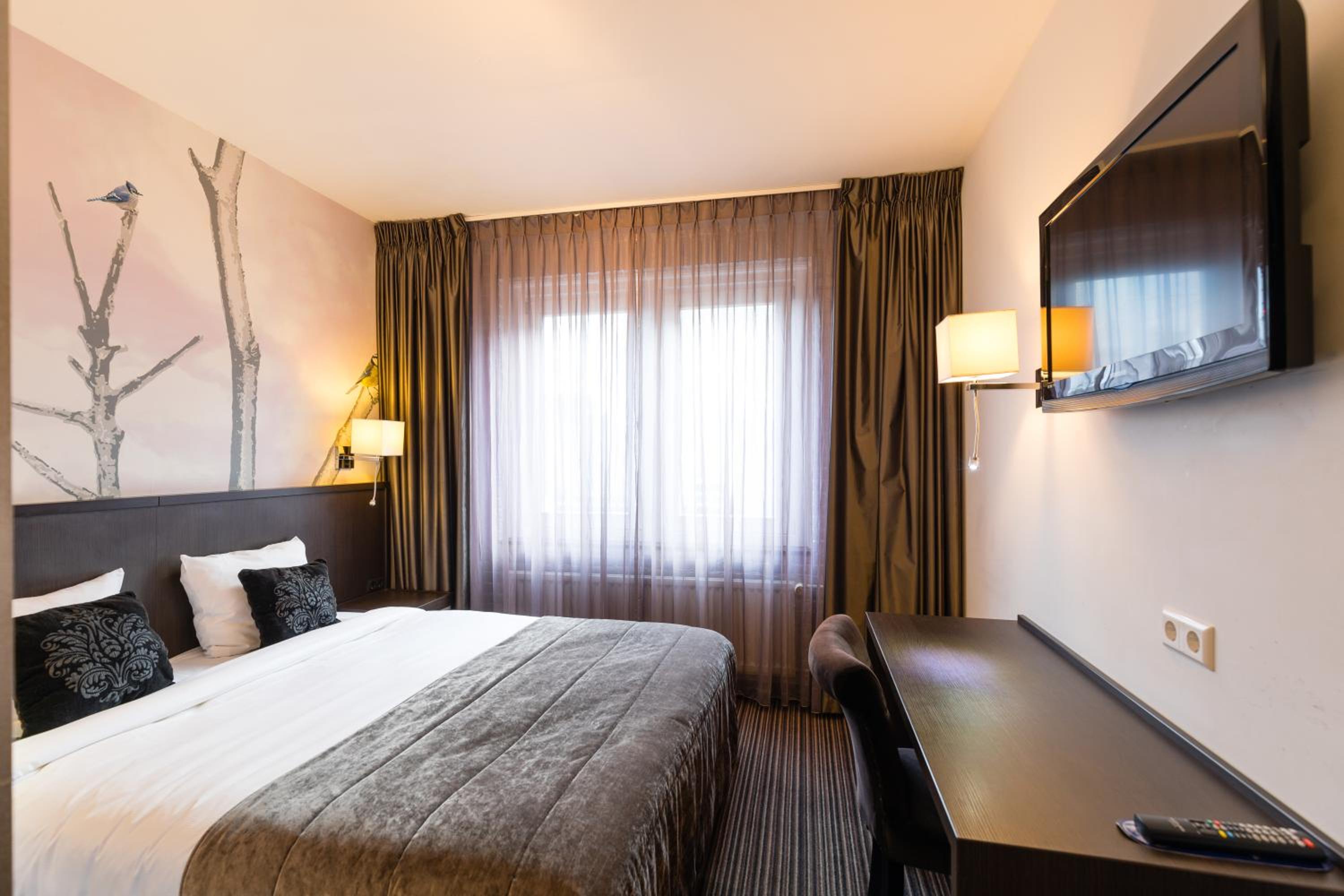 Comfort Double or Twin Room photo 1