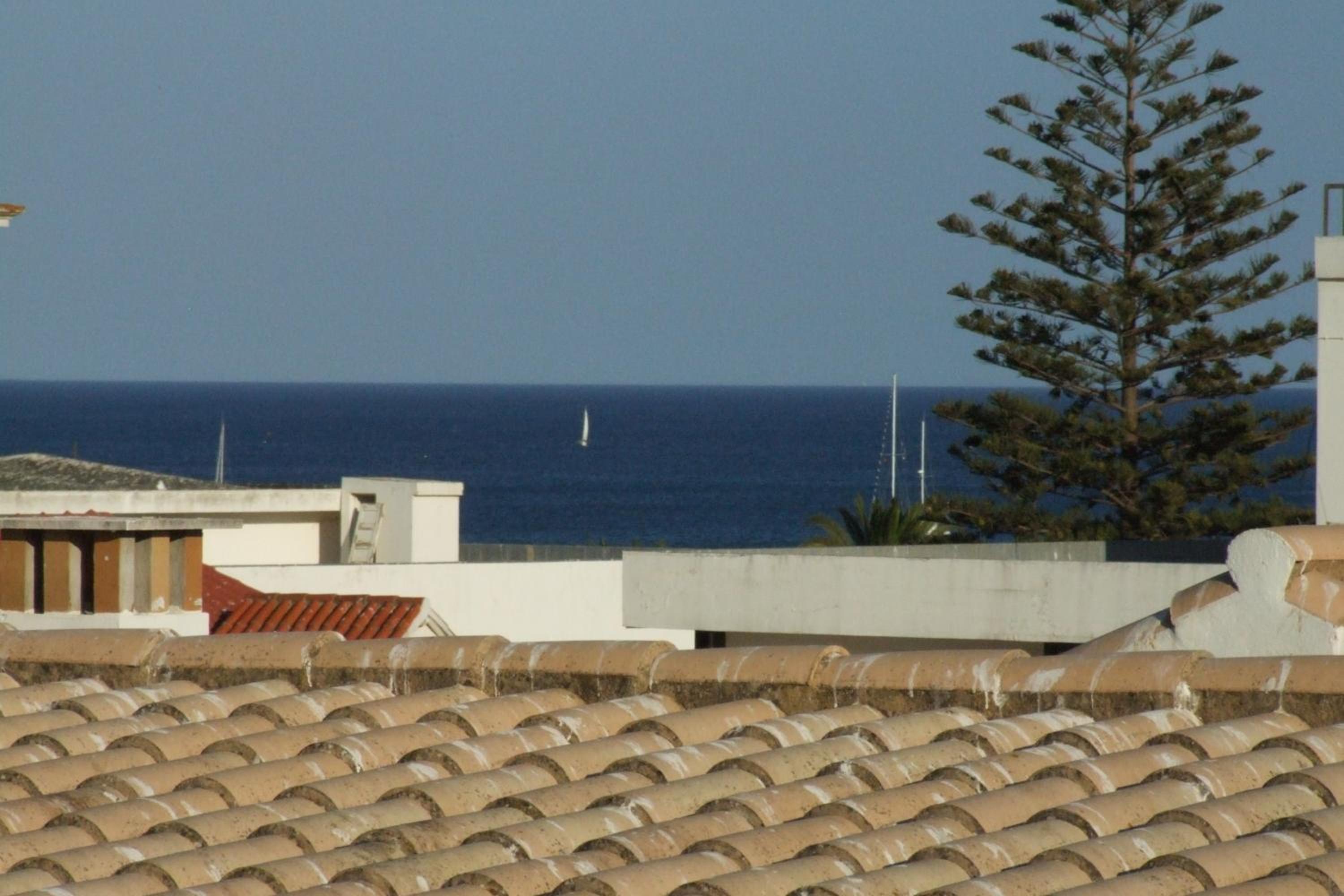 Suite - Photo 6