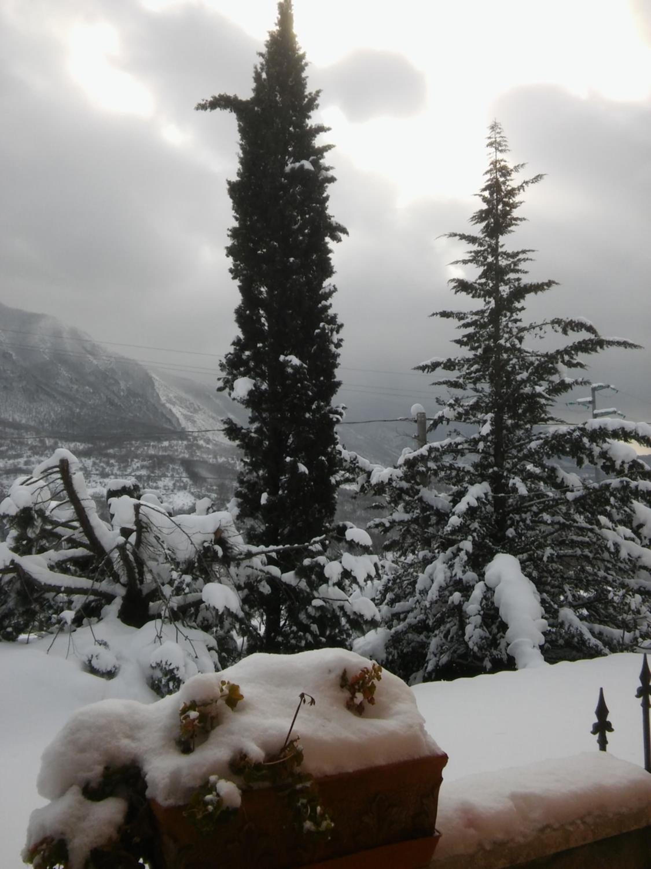 Studio with Mountain View - Photo 16