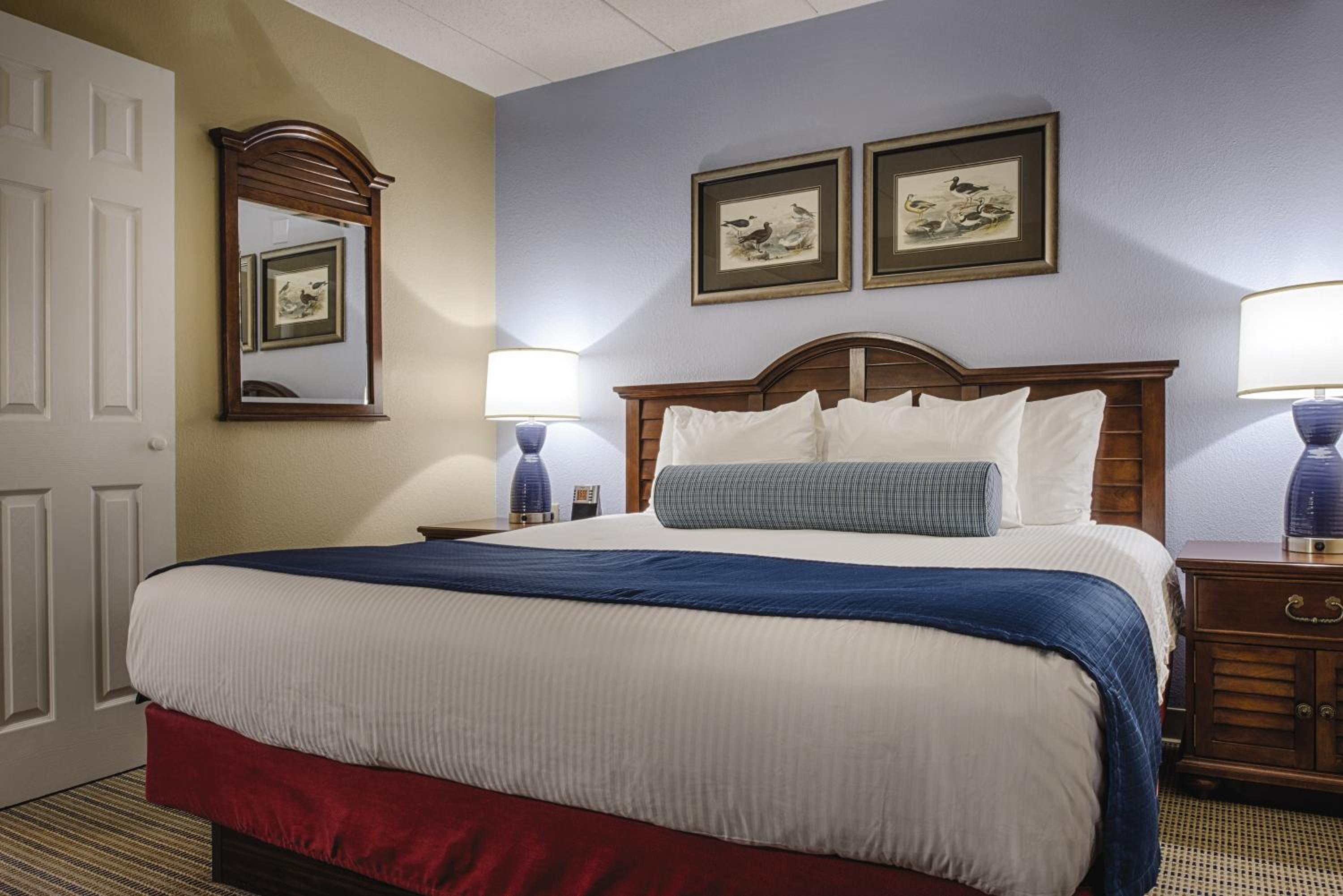 One-Bedroom Suite photo 1