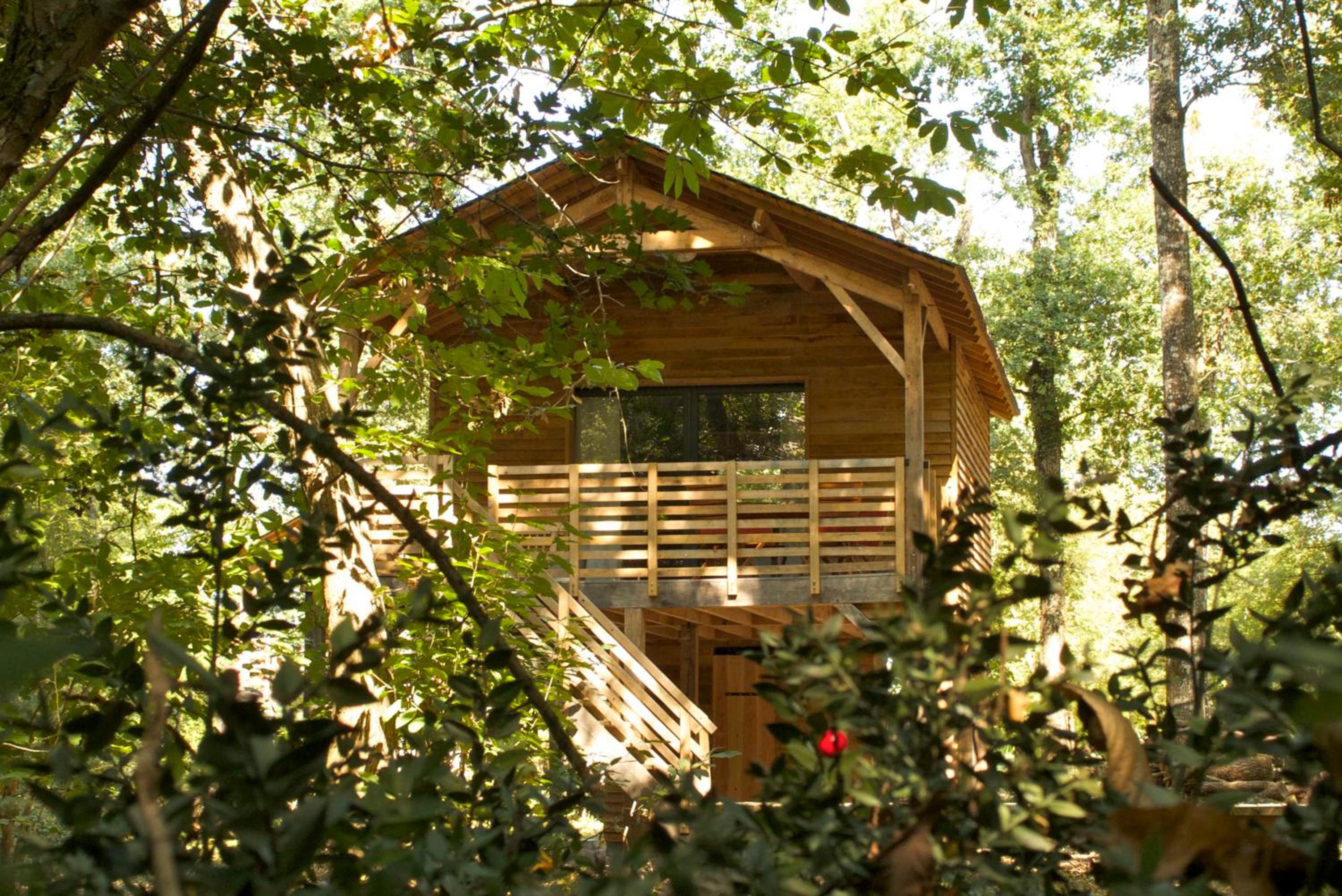Lodge with Terrace