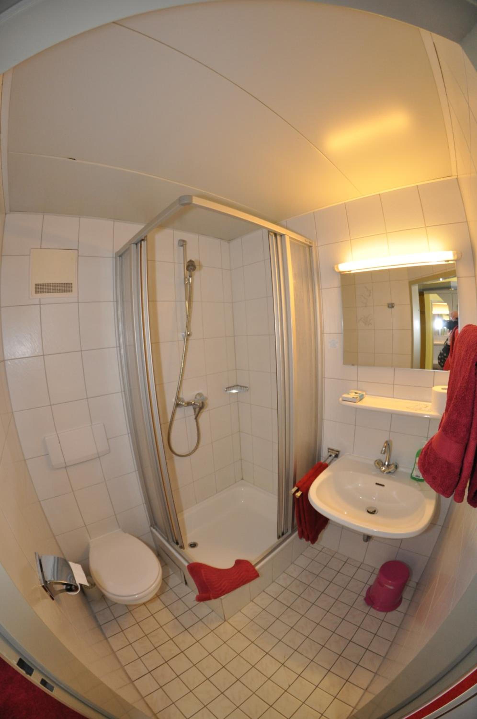 Large Single Room photo 3