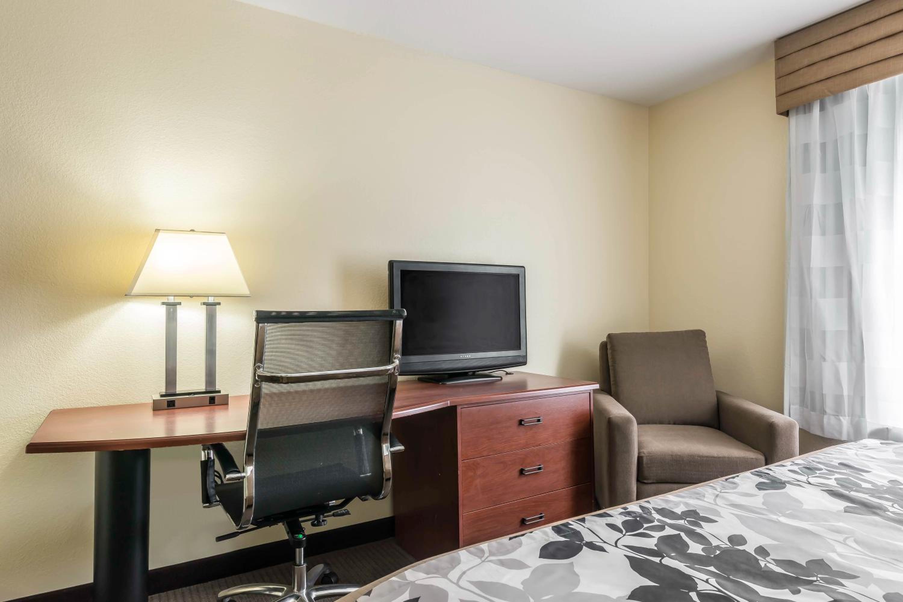 King Suite - Non-Smoking - Photo 4