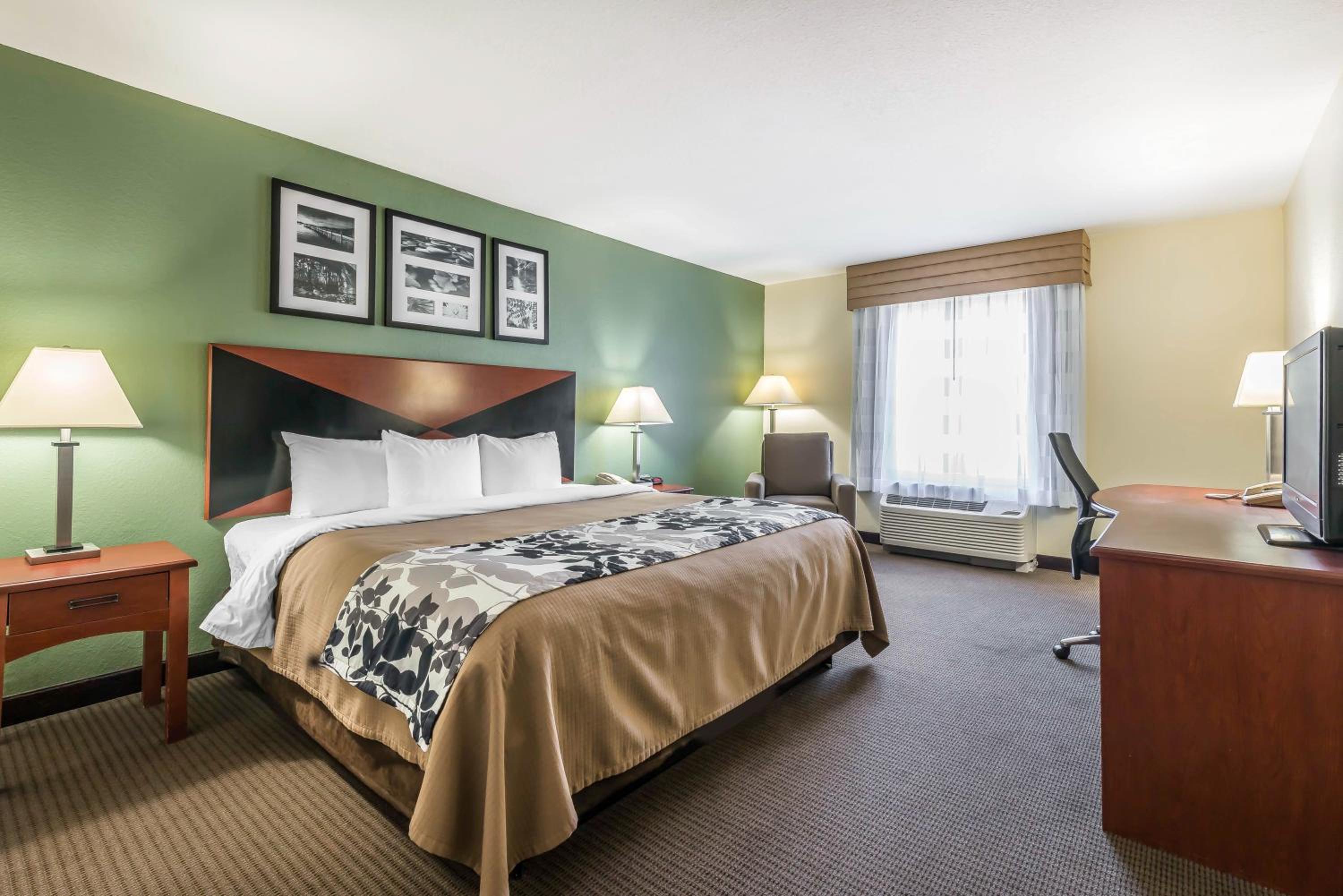 King Room - Non-Smoking - Photo 2