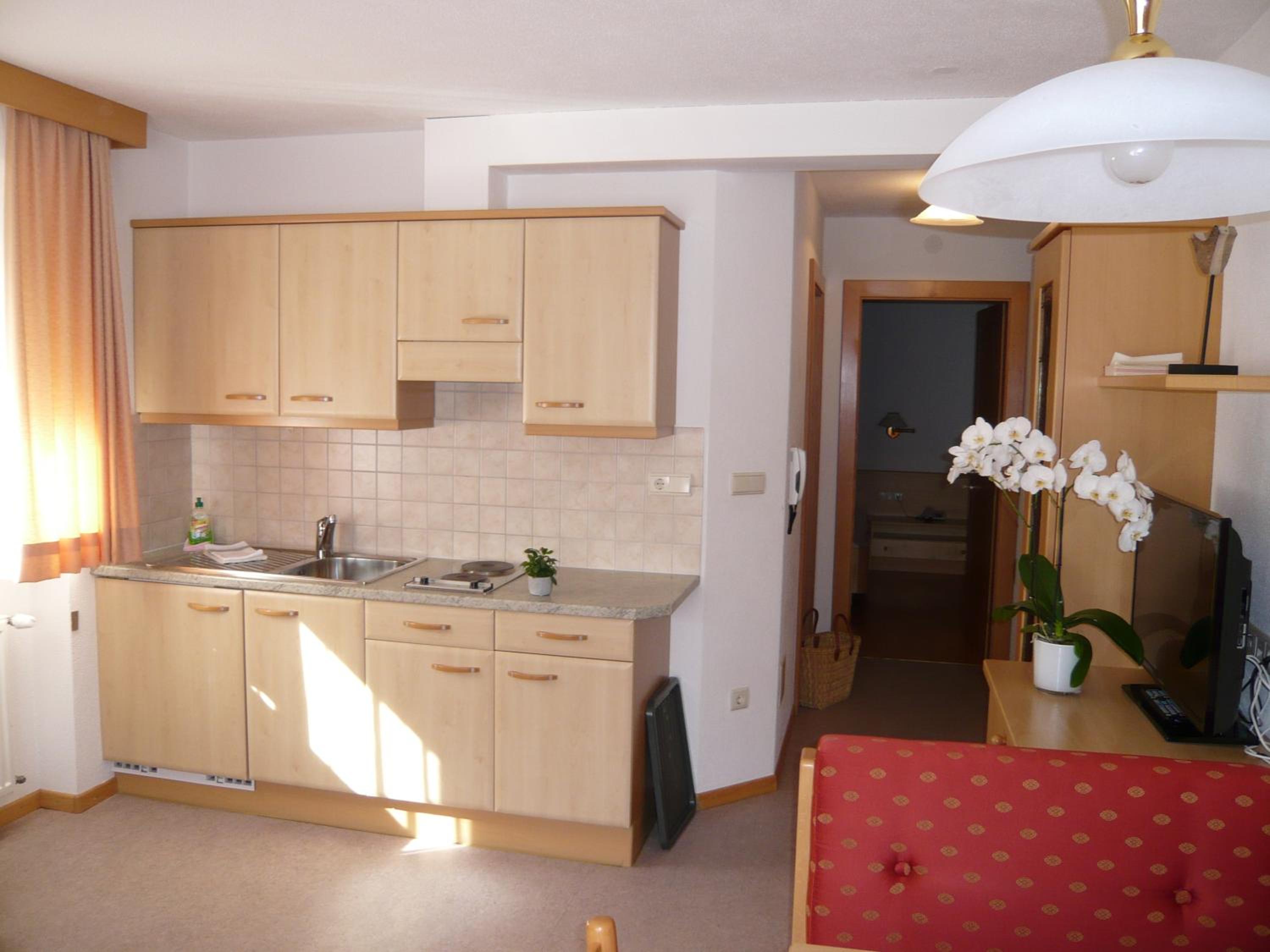 One-Bedroom Apartment photo 2