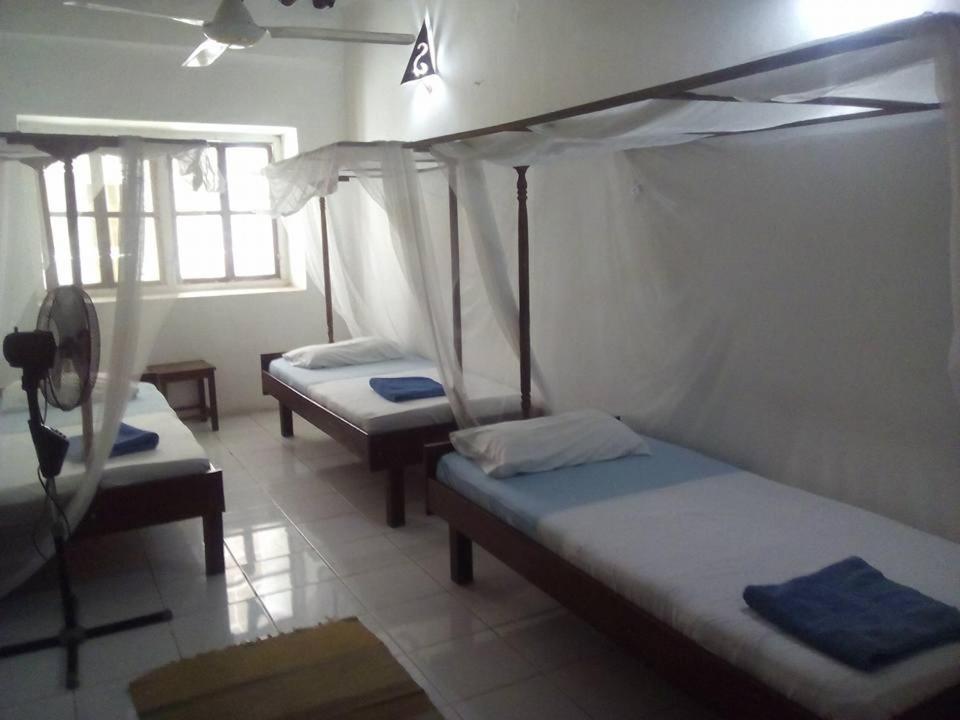 Triple Room photo 3