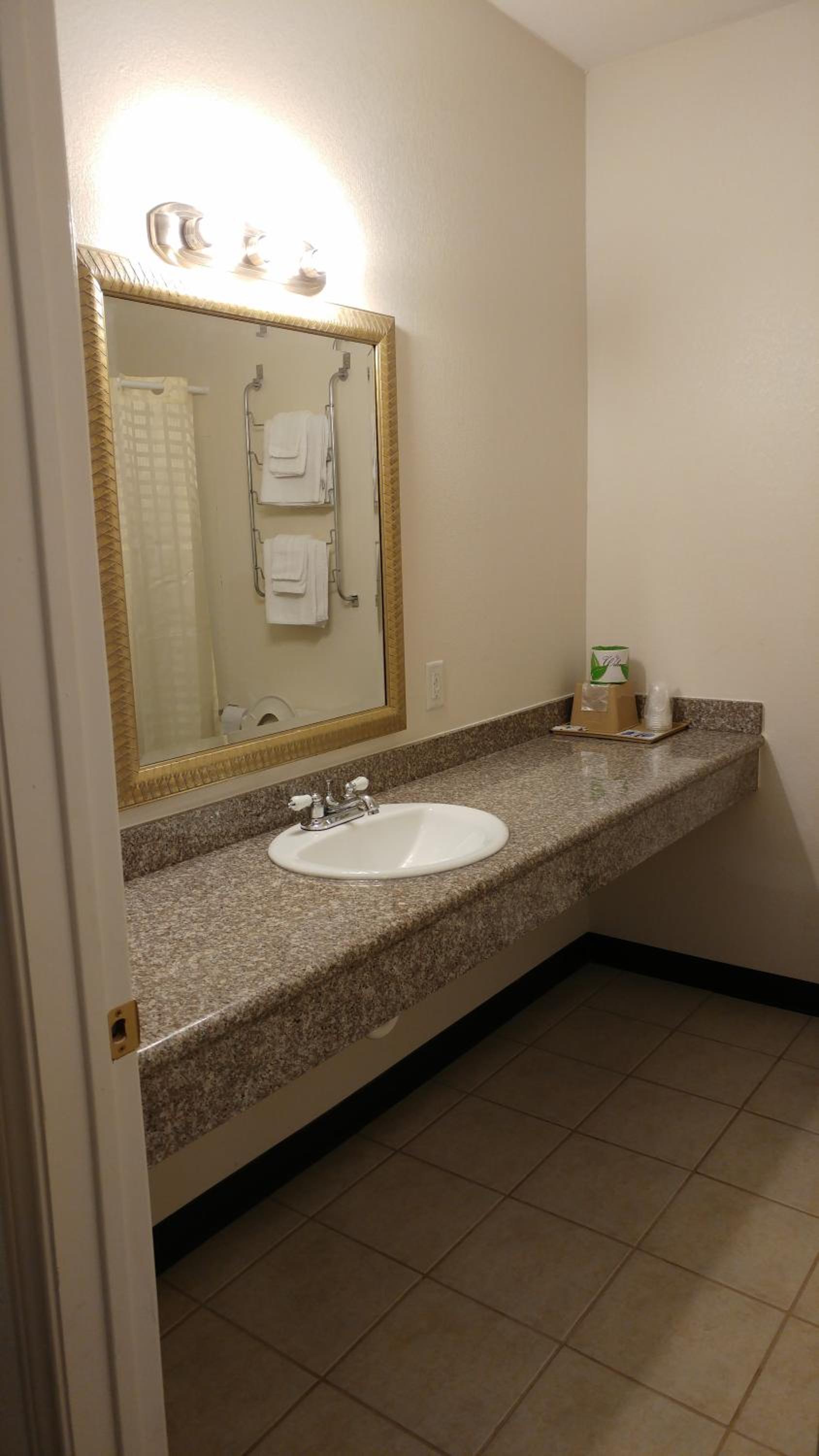 Deluxe King Suite photo 2