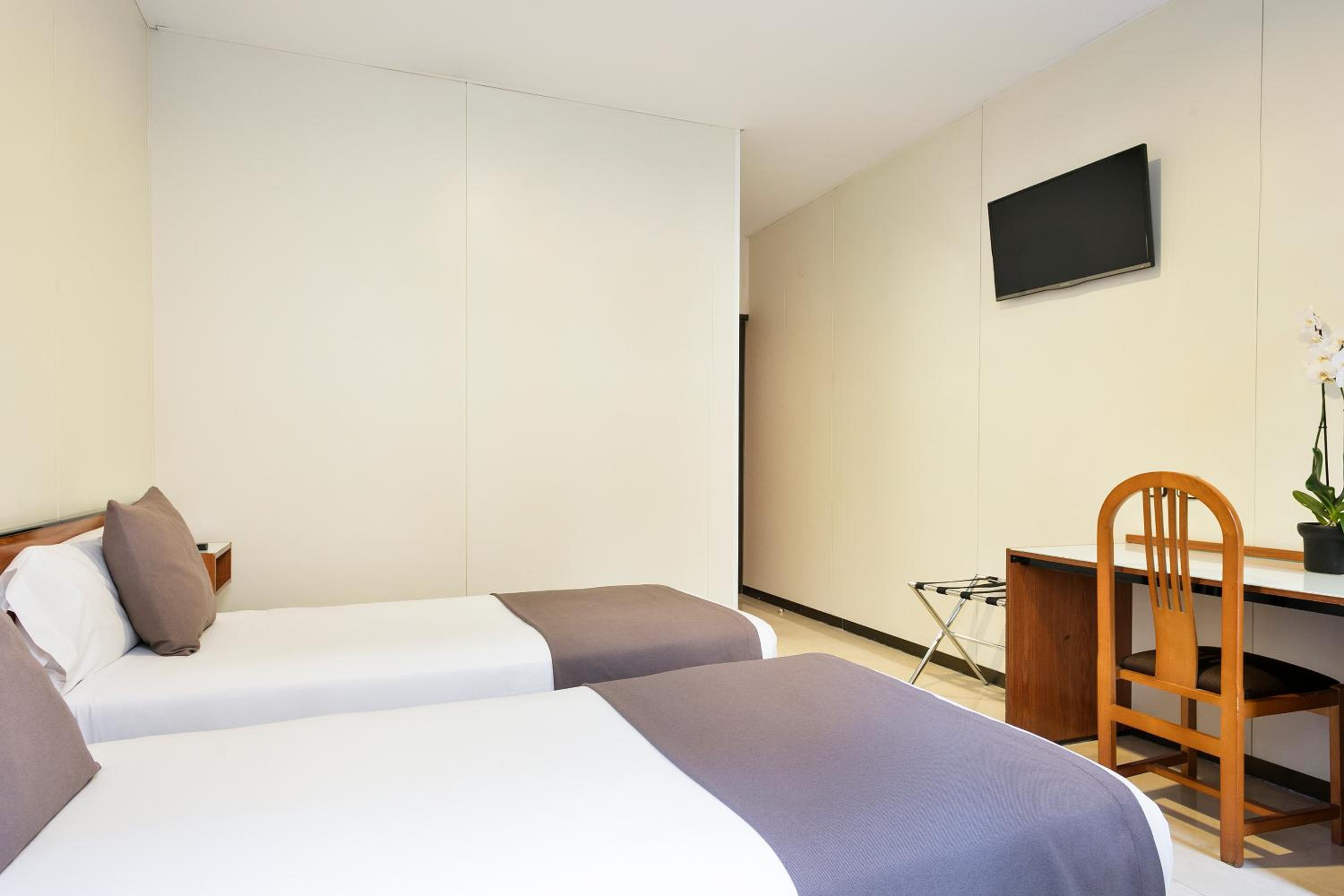 Twin Room photo 2
