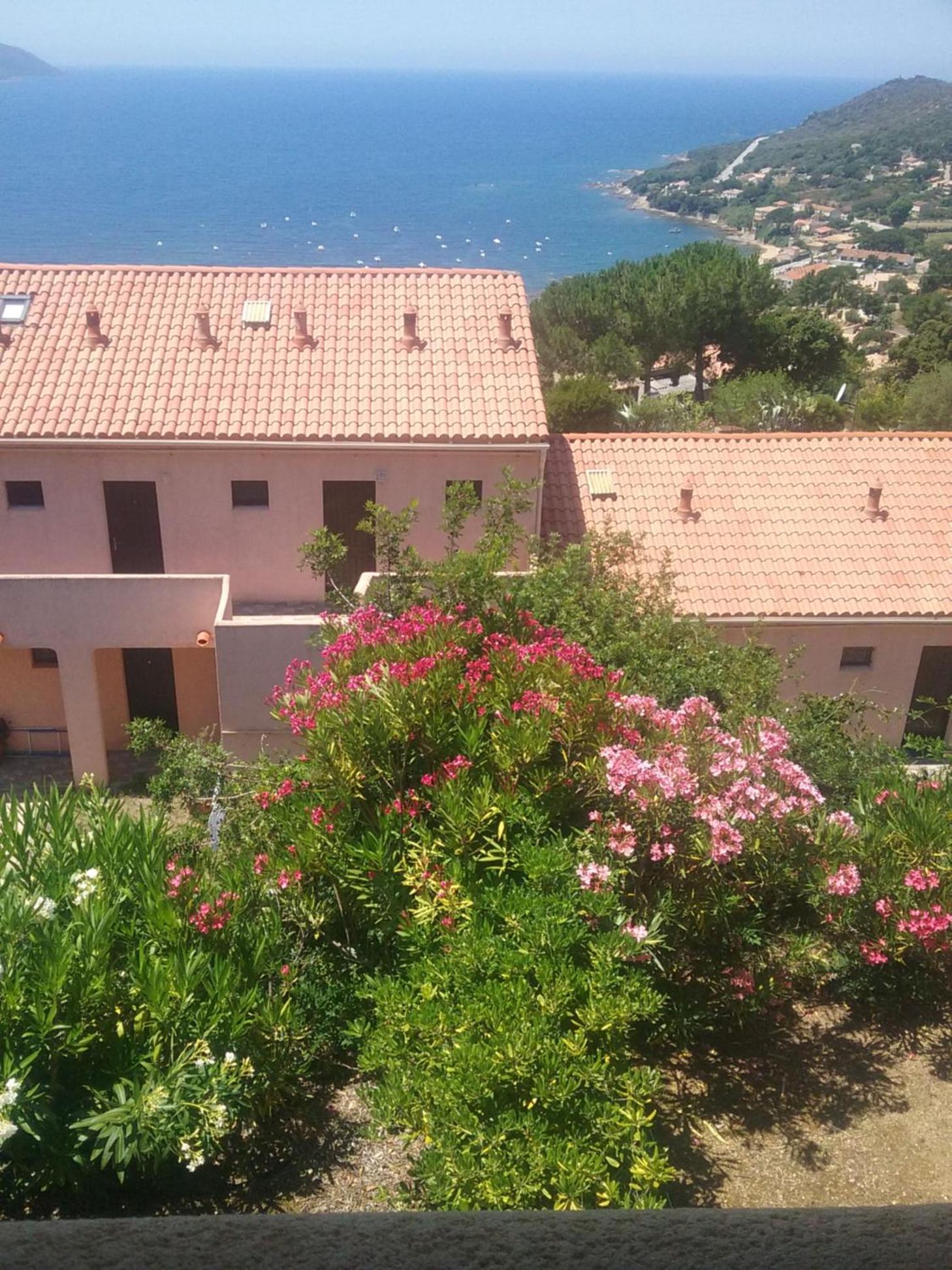 Studio Apartment with Sea View photo 2