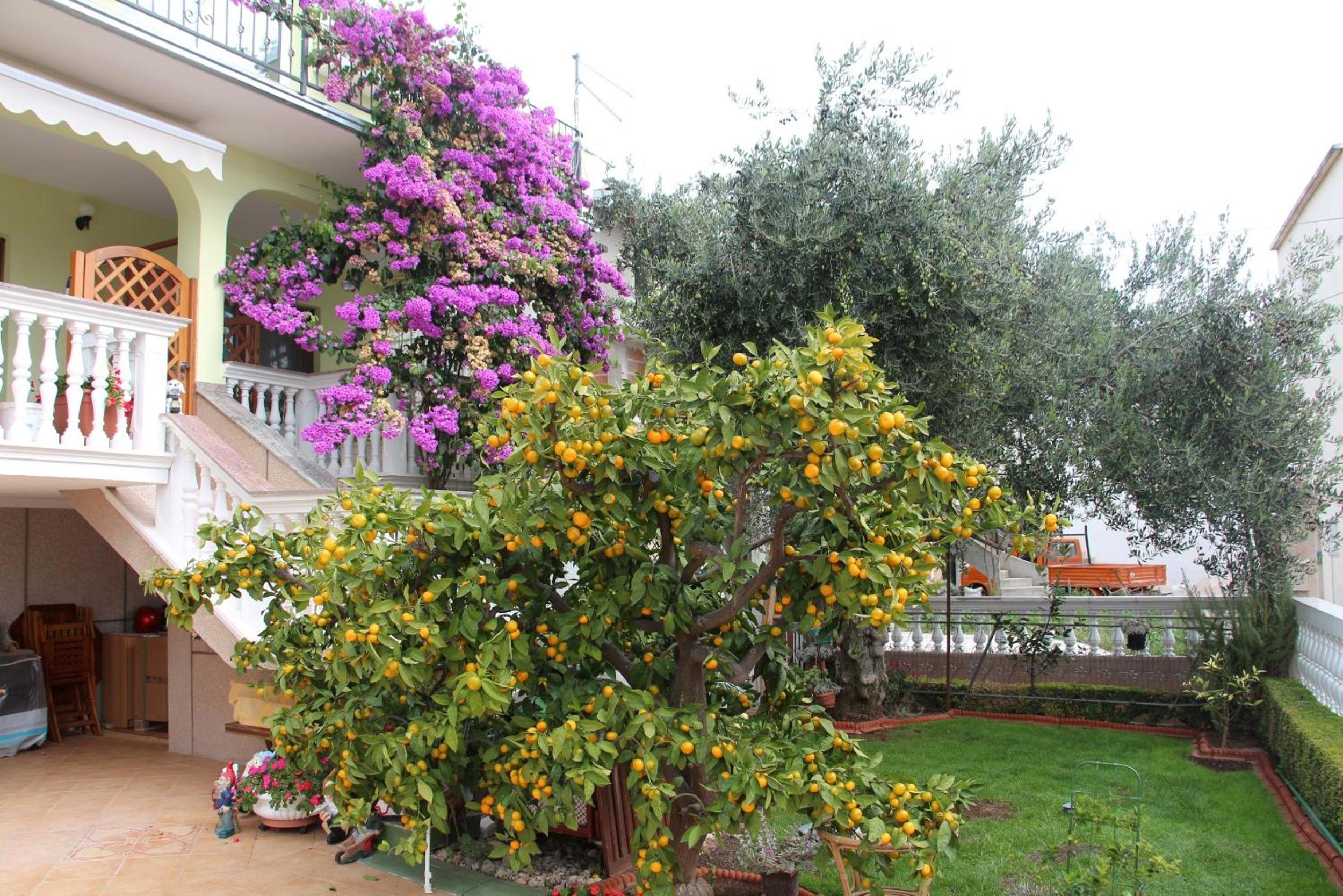 Apartment with Garden View - Photo 3