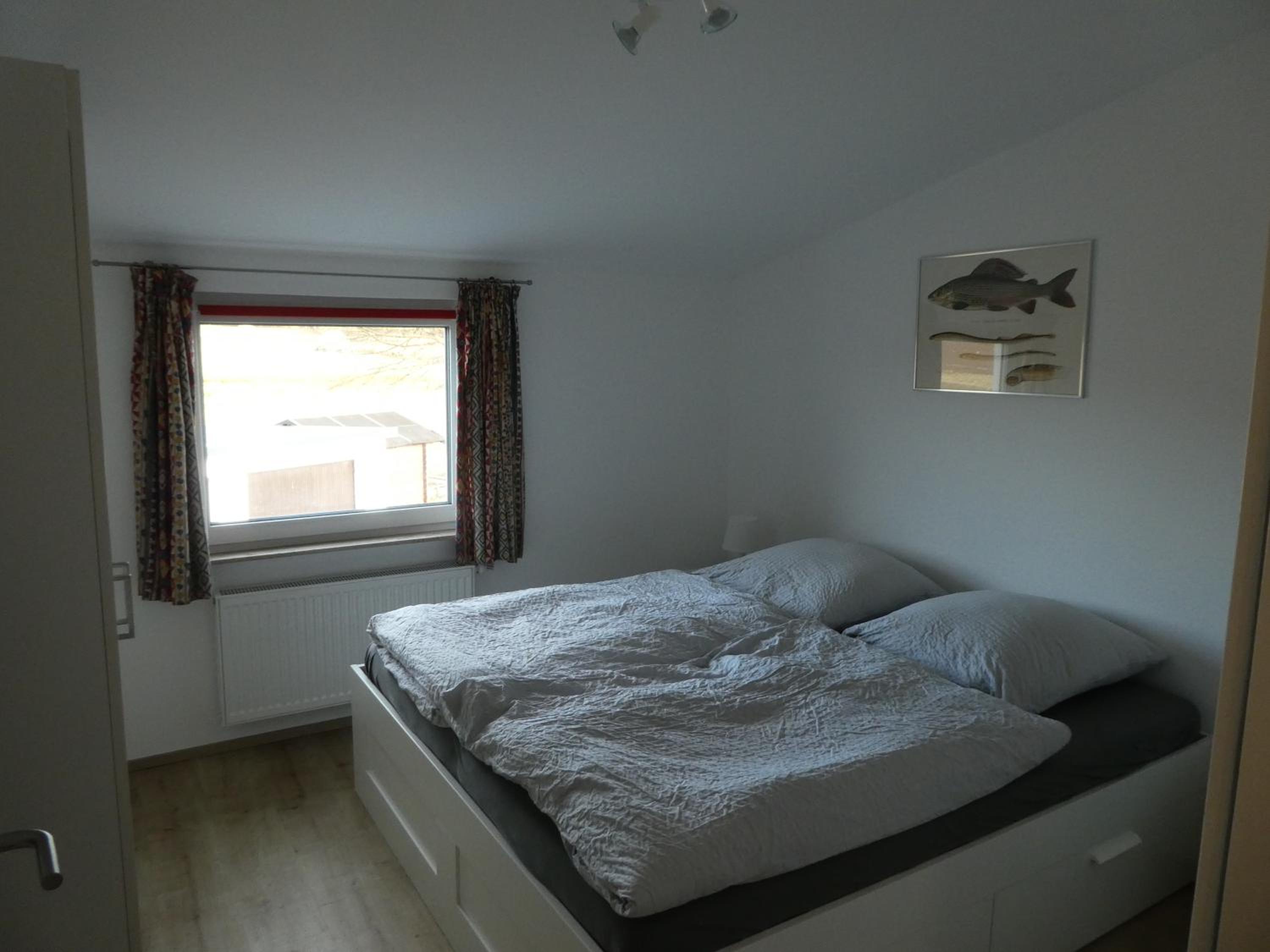 Apartment with Terrace photo 2
