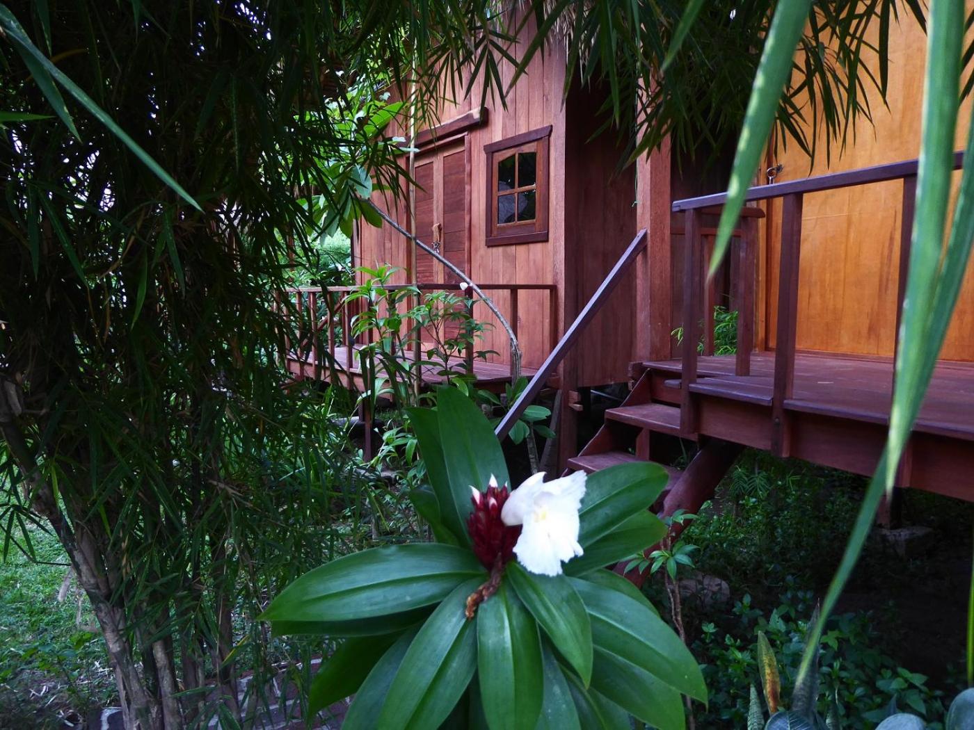 Deluxe Bungalow with Garden View - Photo 2