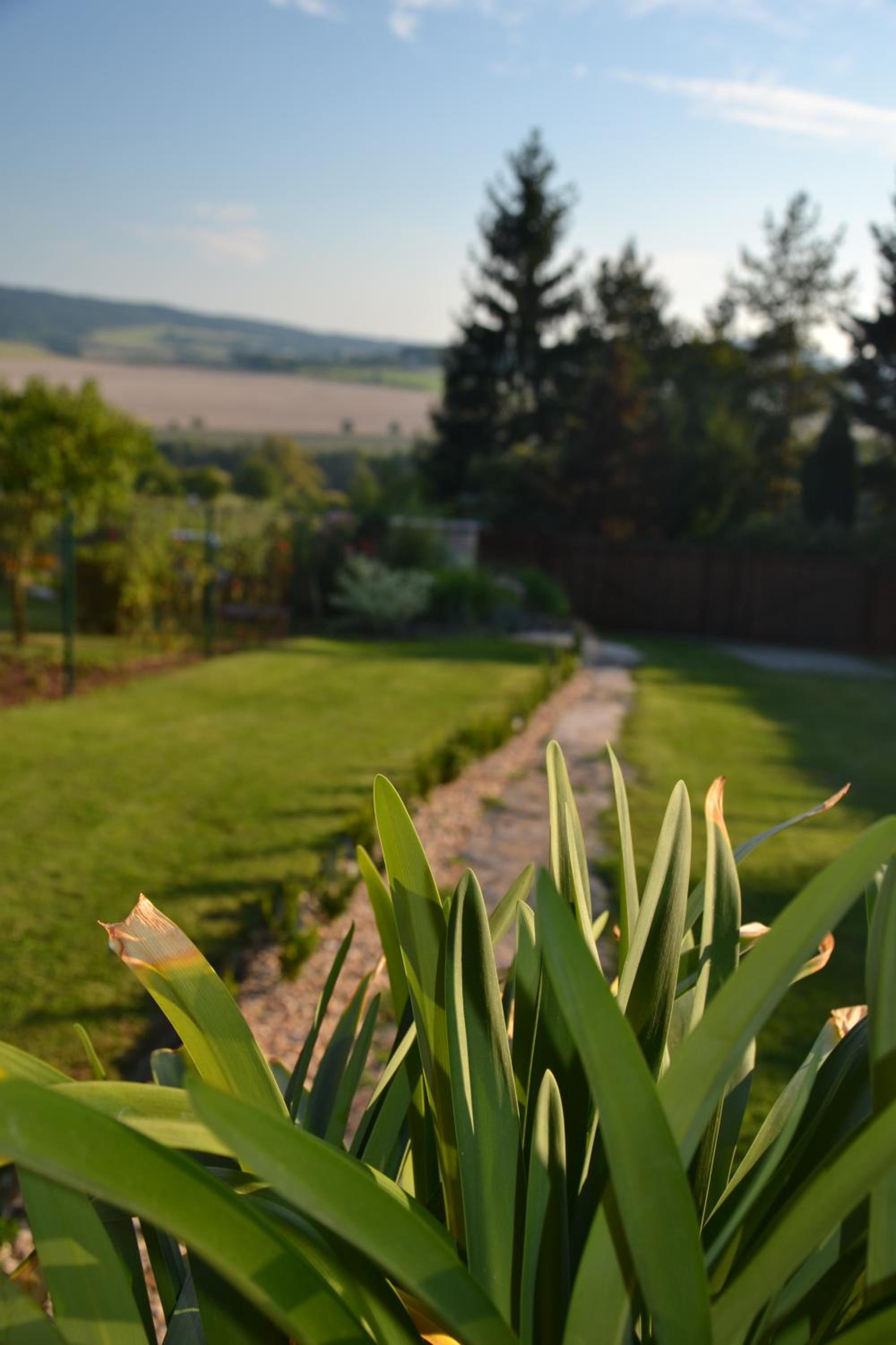 Holiday Home photo 1