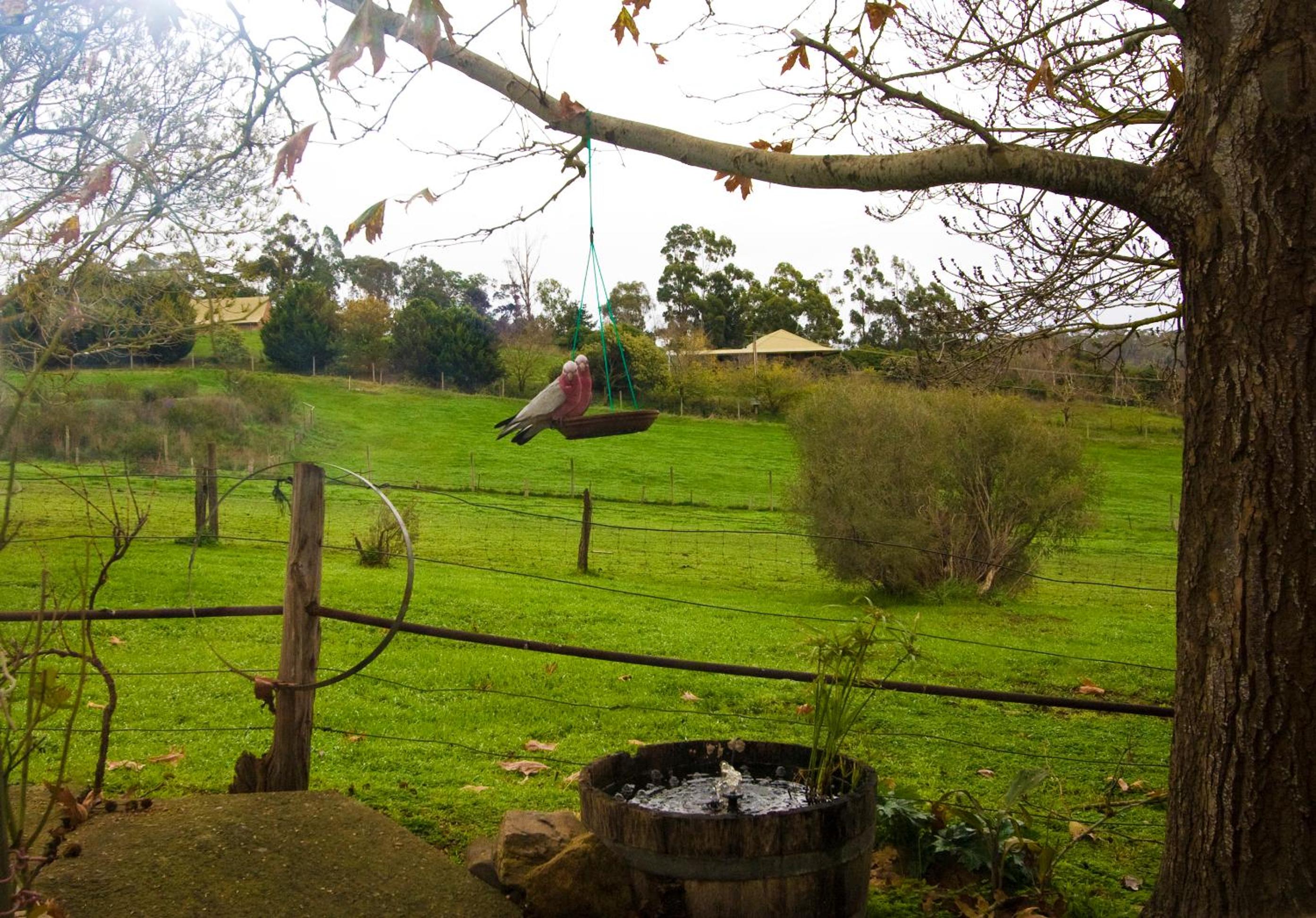 Amble Wren Spa Cottage - Photo 10