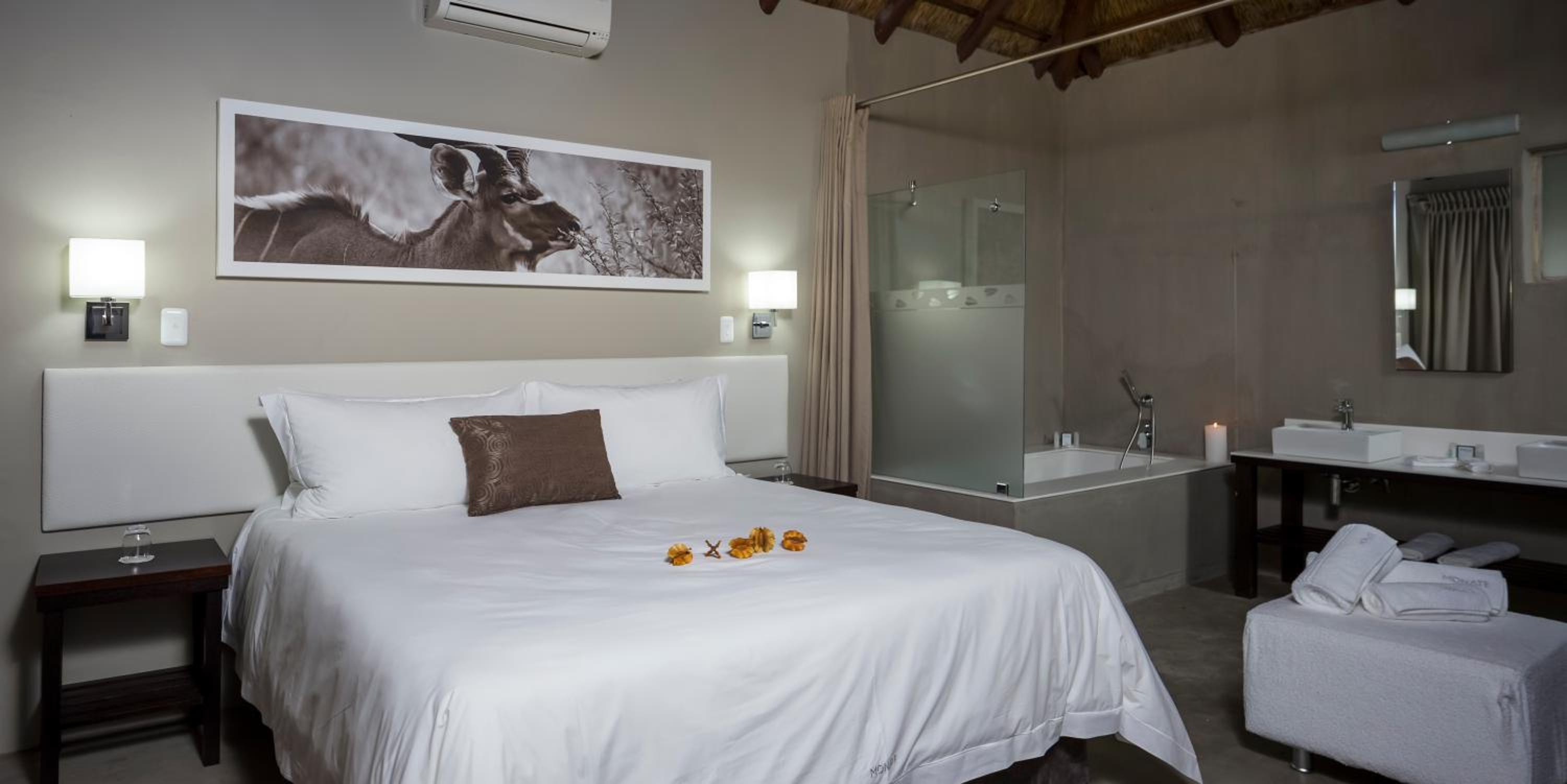 Chalet - Main Lodge photo 1