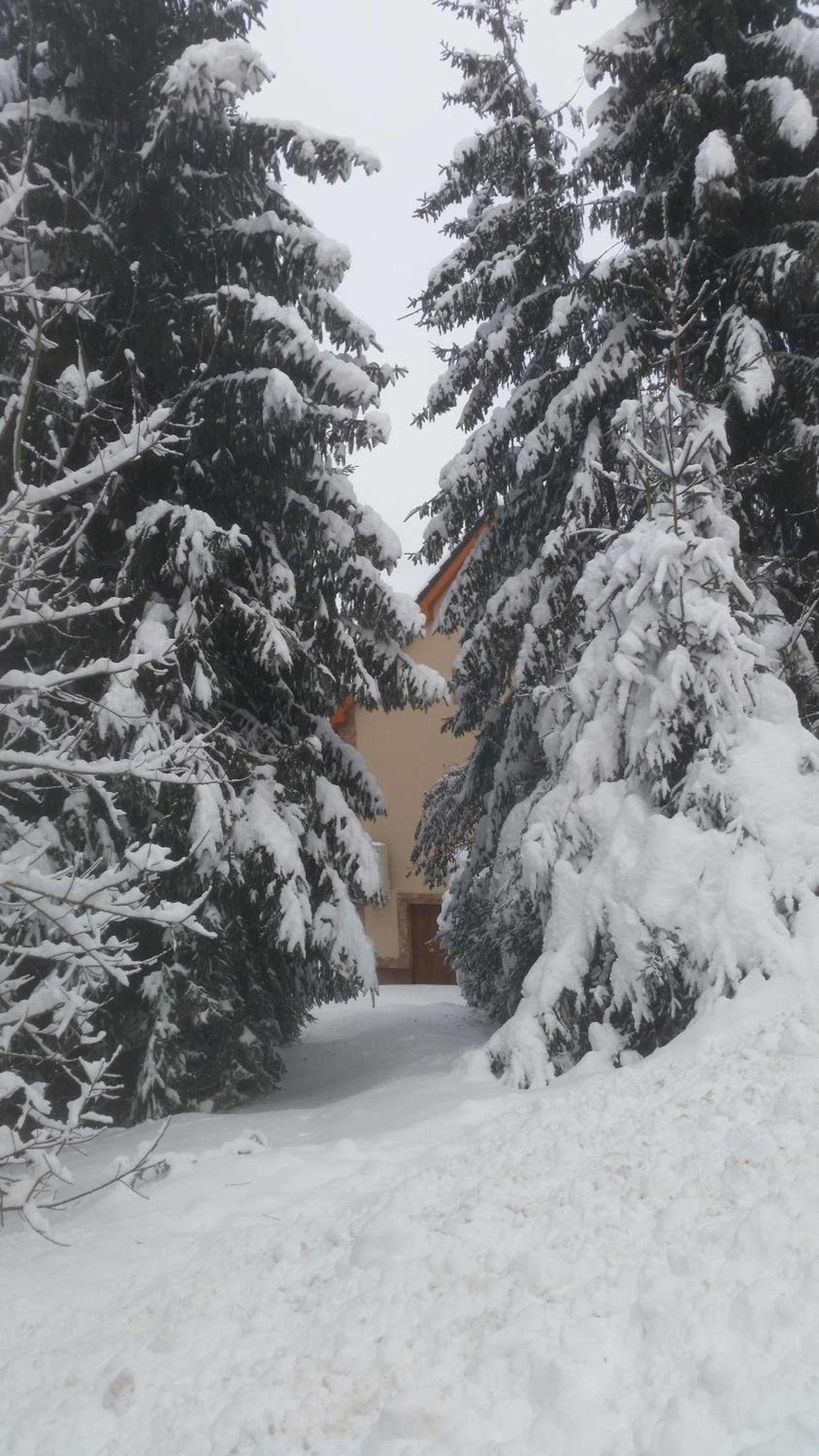 Chalet photo 2