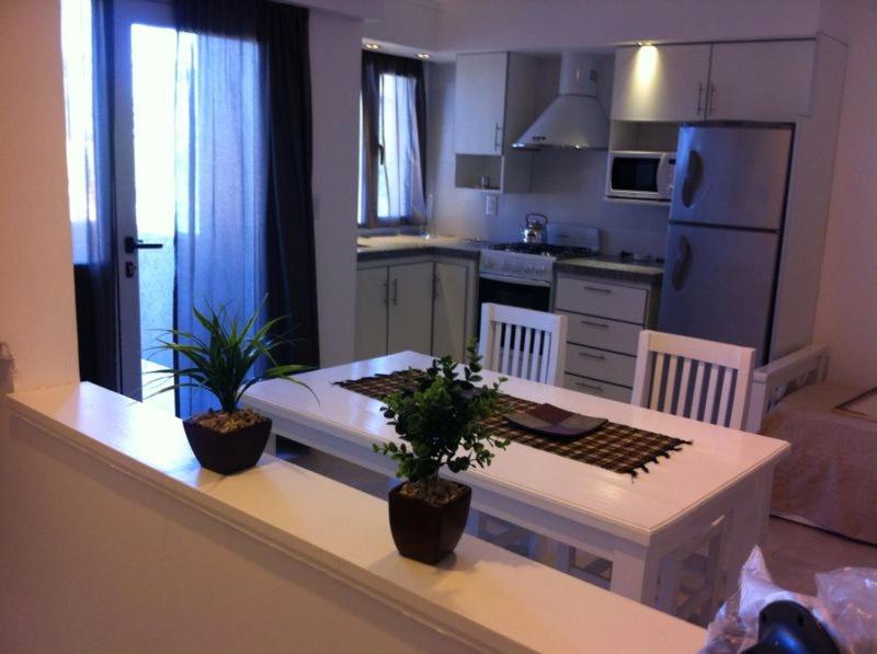 Duplex Apartment photo 3