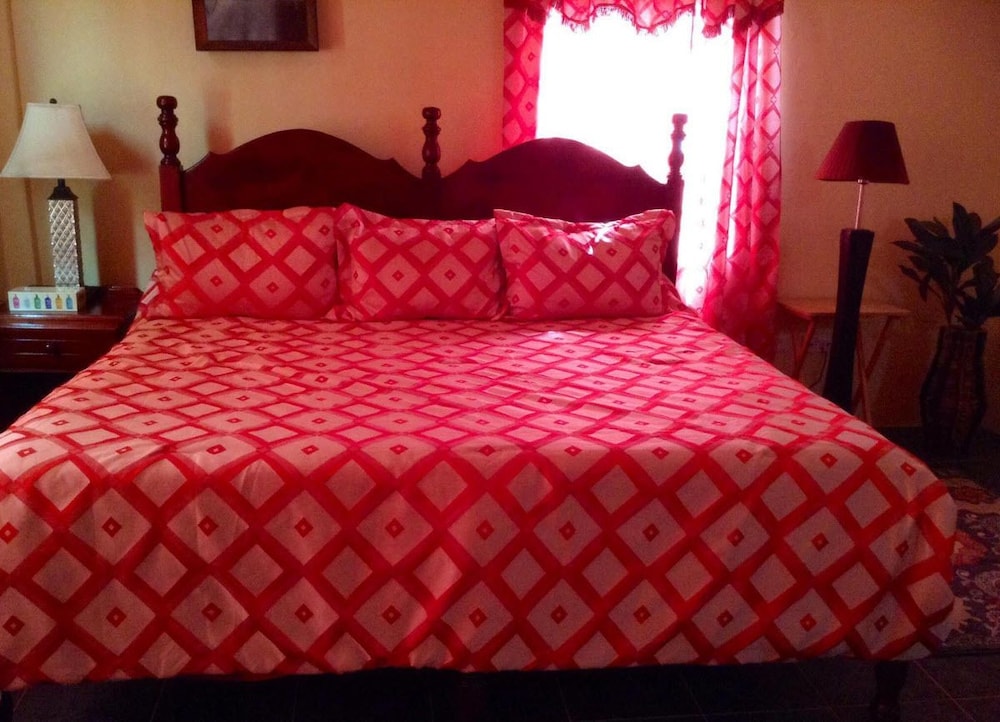 Room, 1 King Bed photo 1