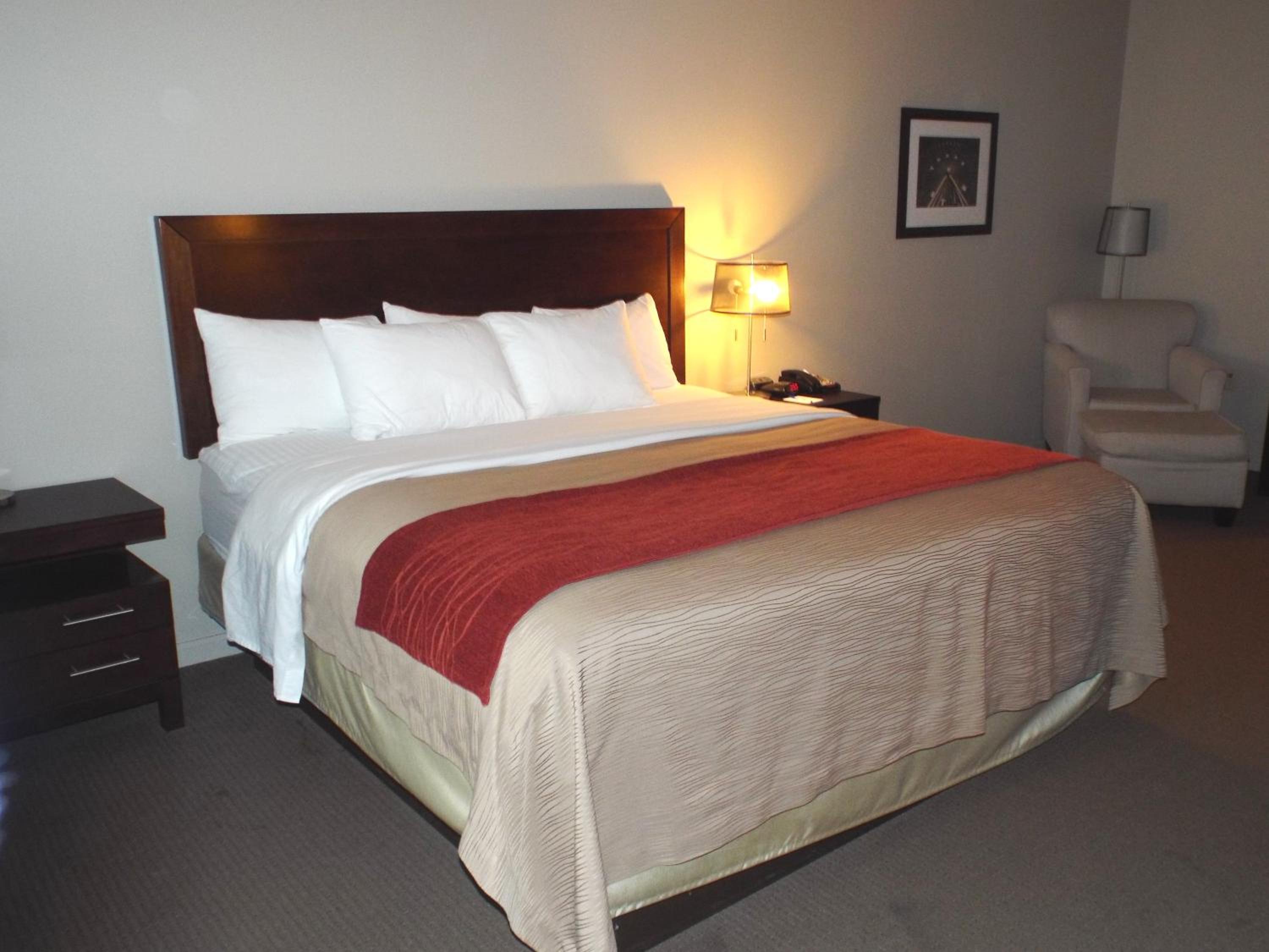 King Room - Non-Smoking - Photo 4