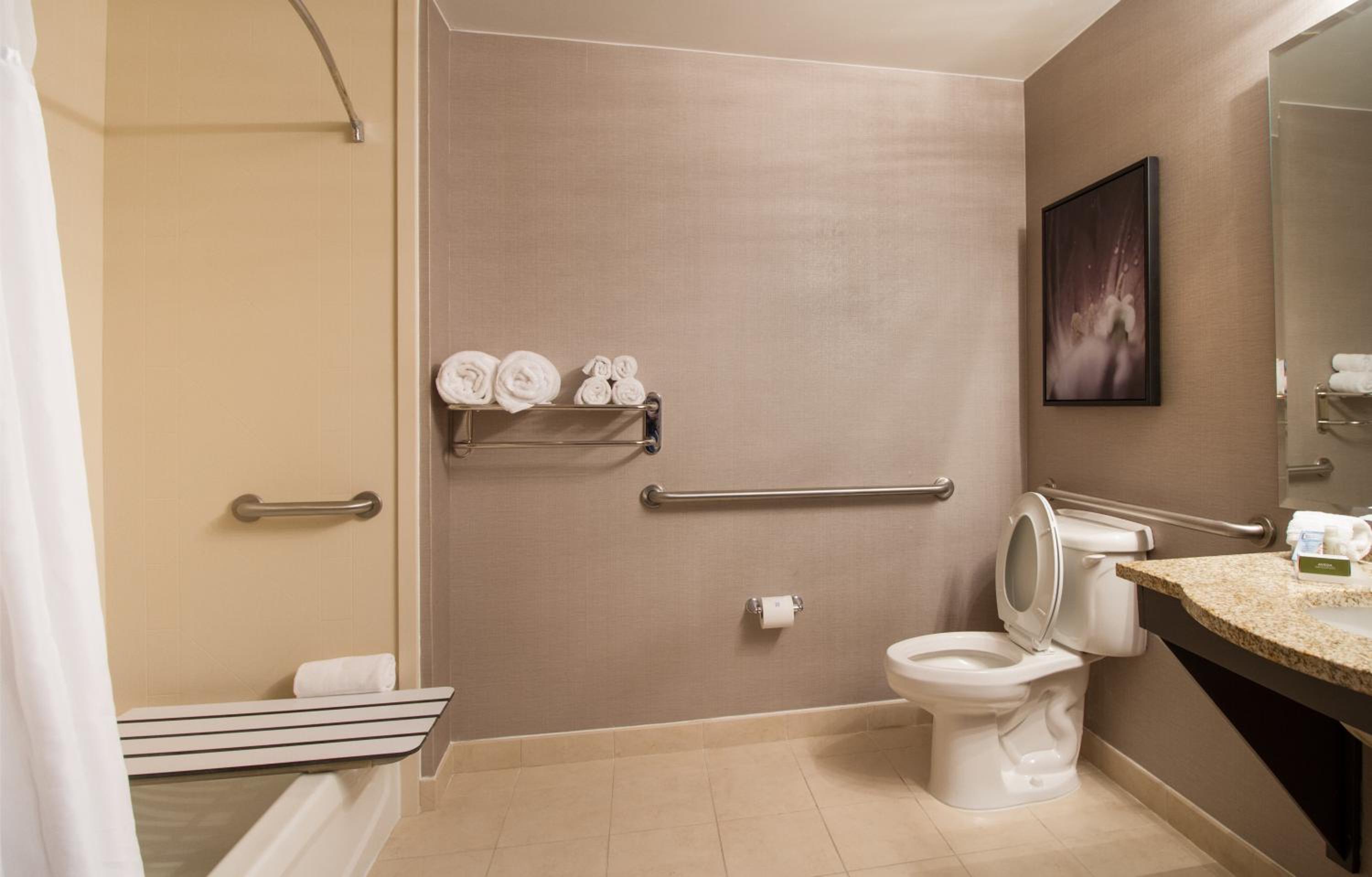 King Suite - Mobility Access/Non-Smoking - Photo 10