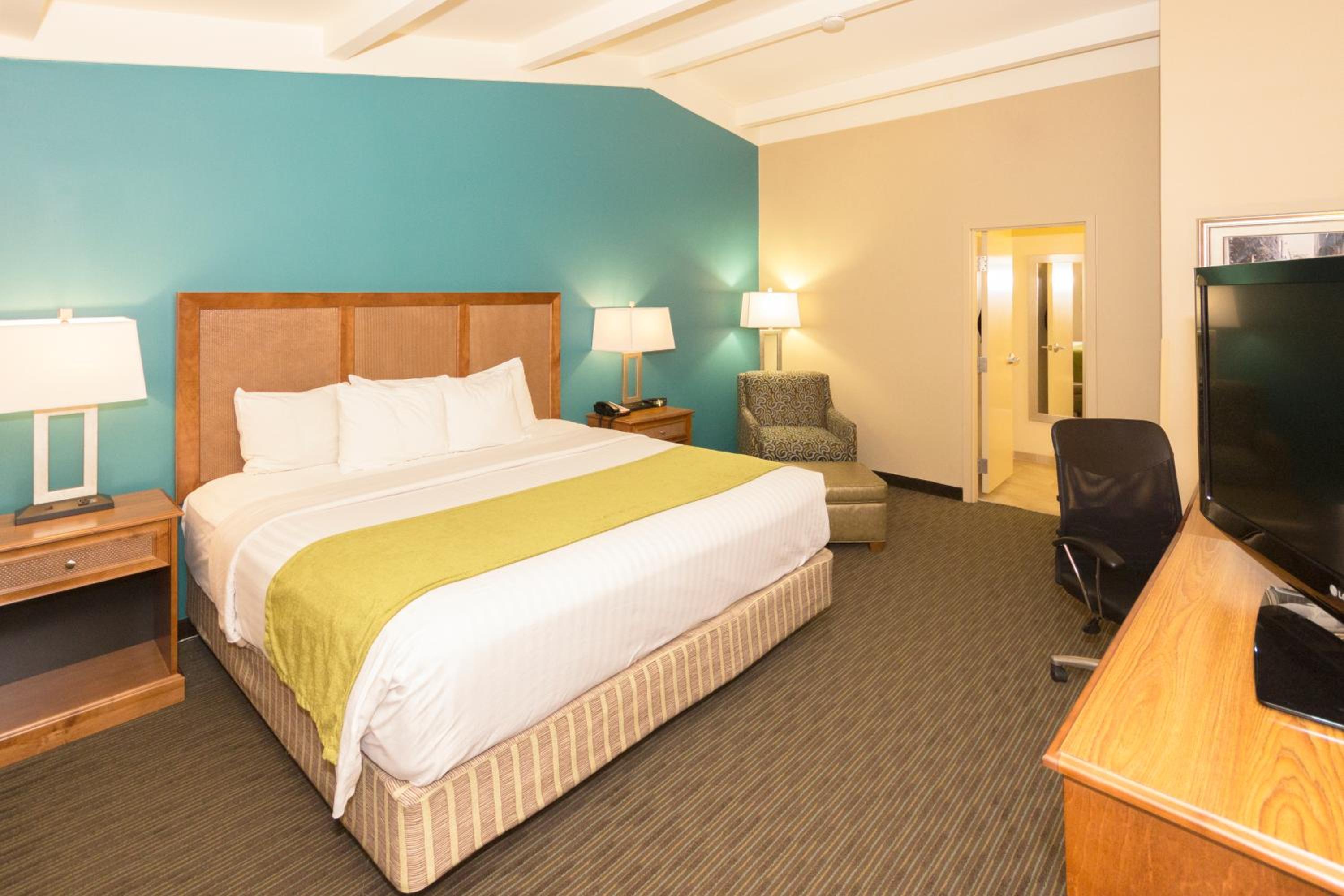 King Suite with Sofa Bed - Non-Smoking - Photo 3