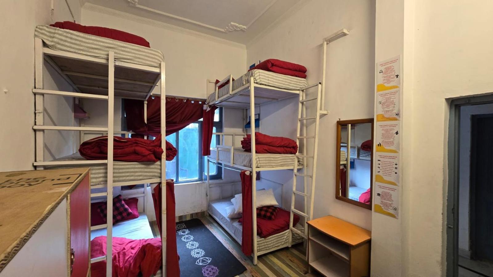 Bed in 6-Bed Dormitory Room