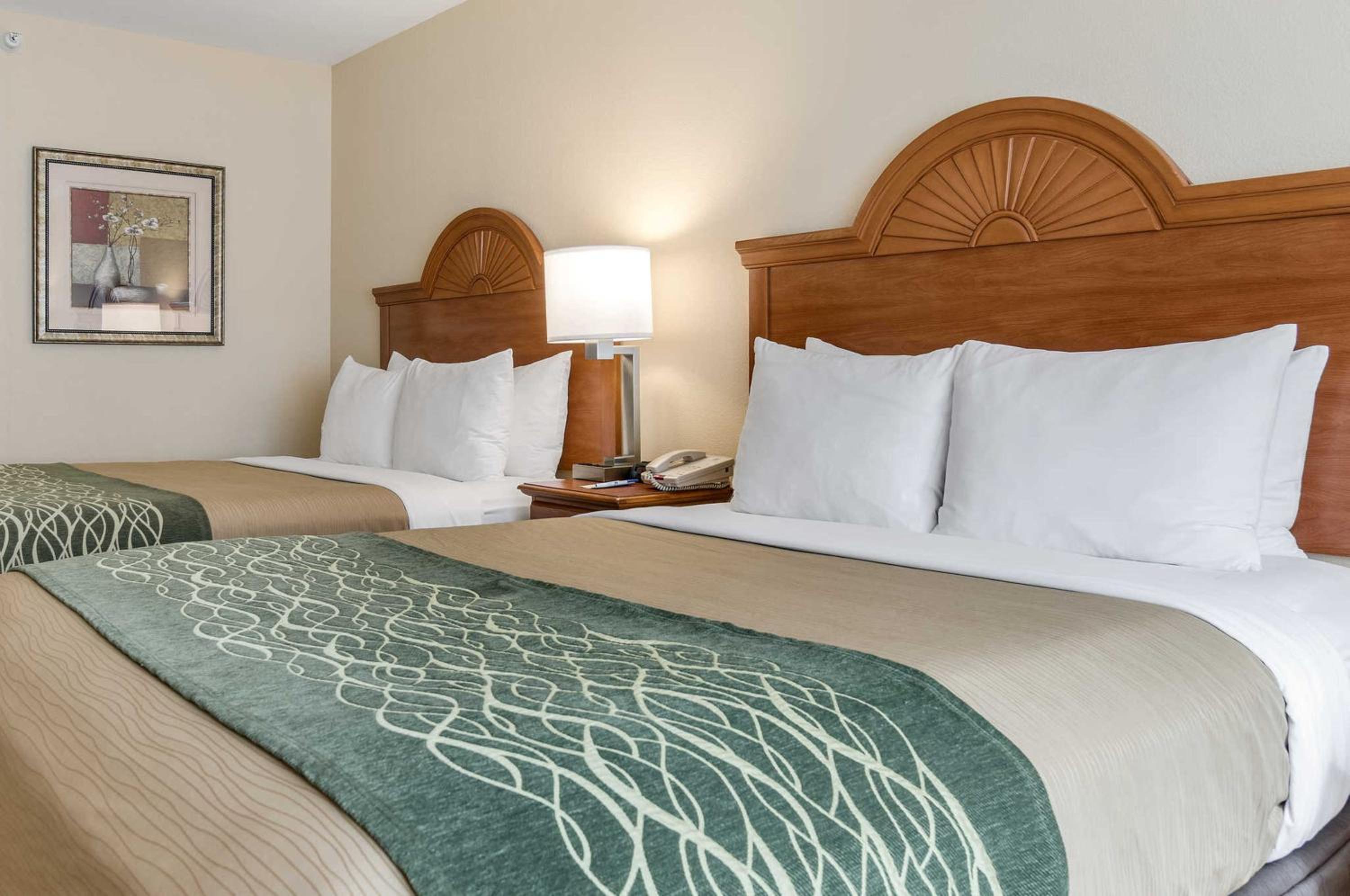 Queen Room with Two Queen Beds - Non-Smoking - Photo 3
