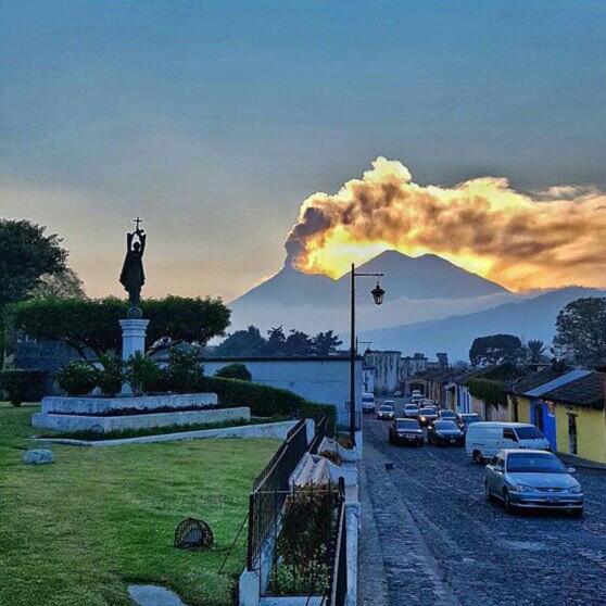 One-Bedroom Villa photo 3