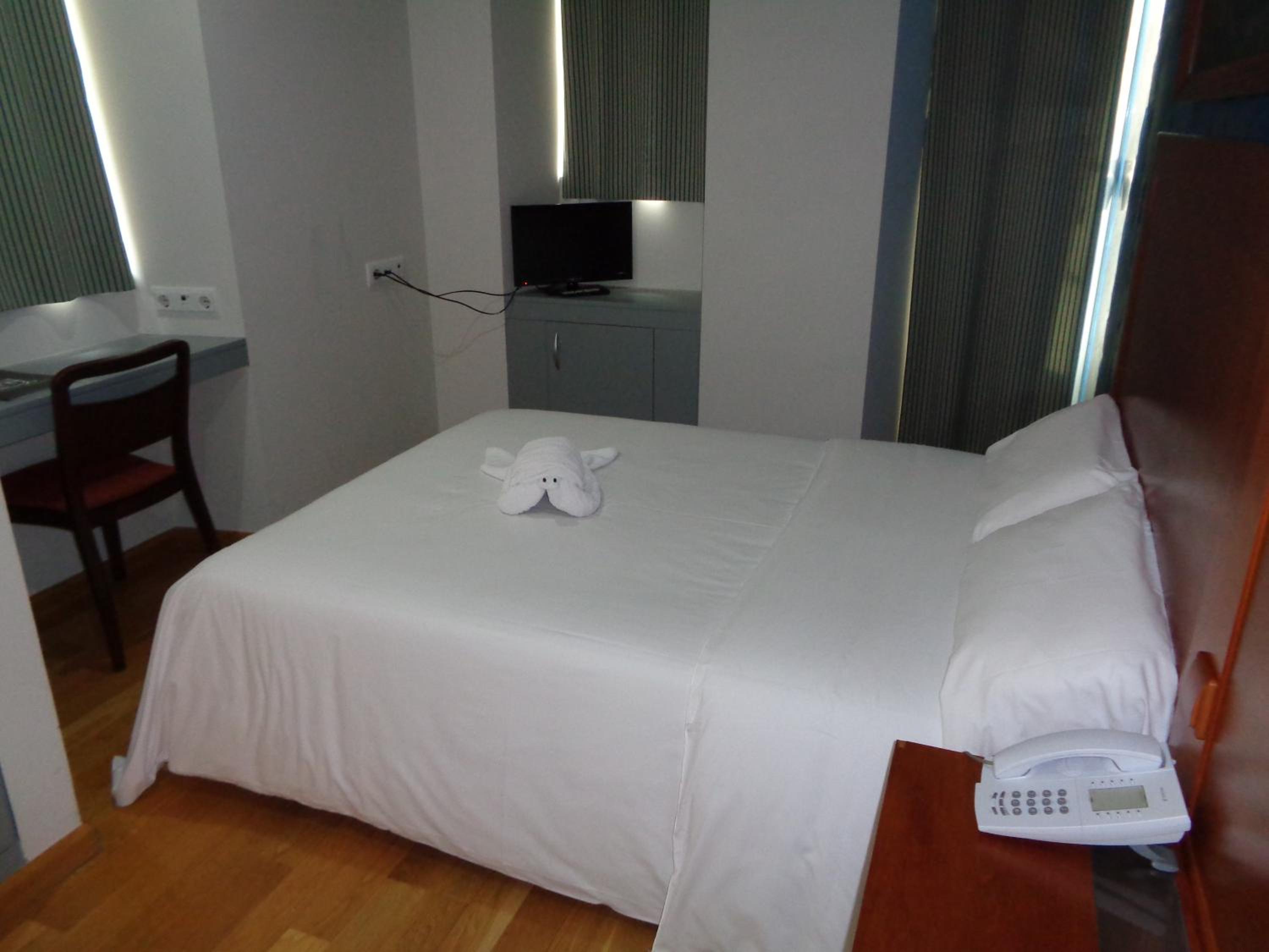 Single Room photo 3