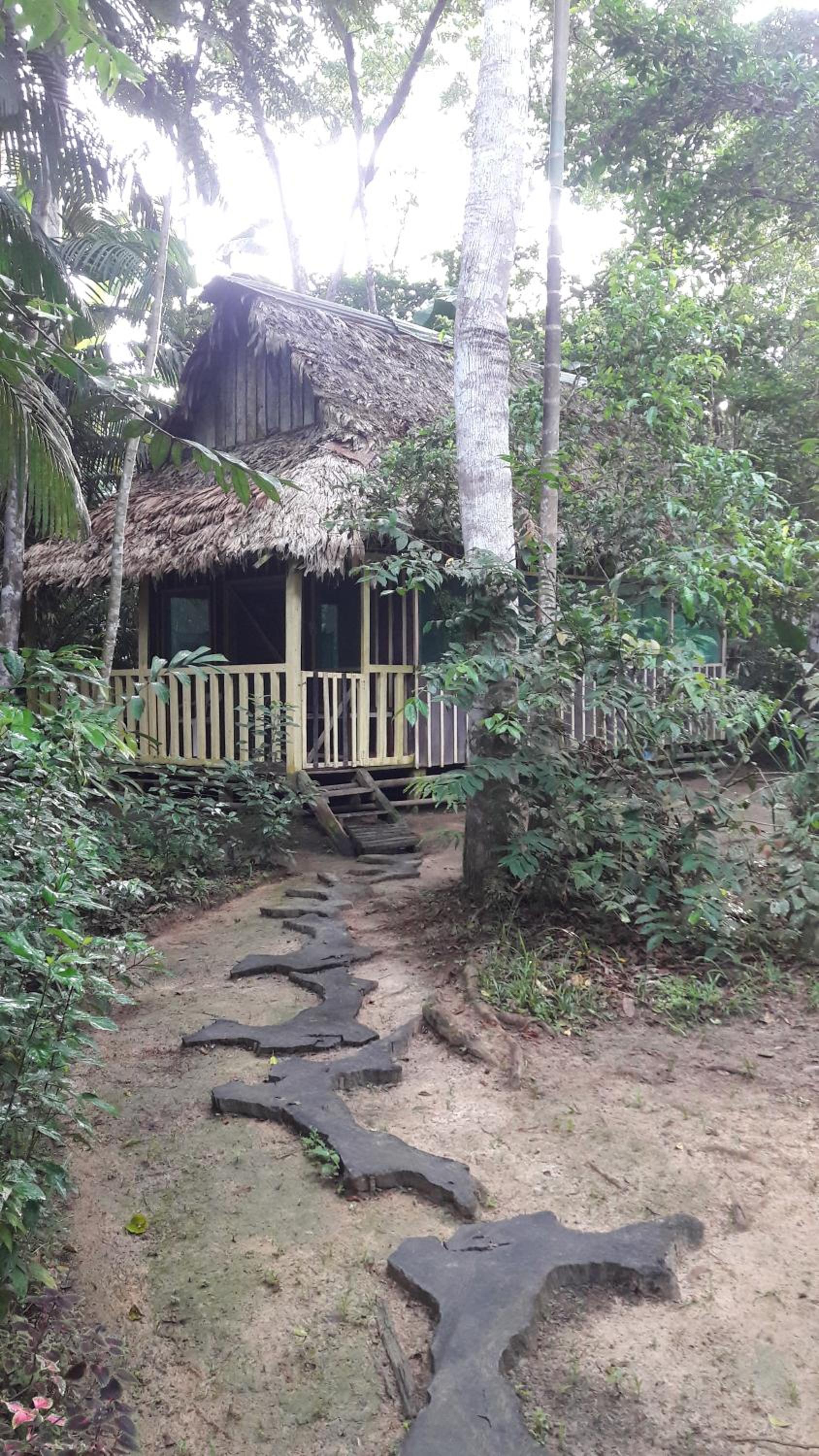 Bungalow (4 Adults) photo 2