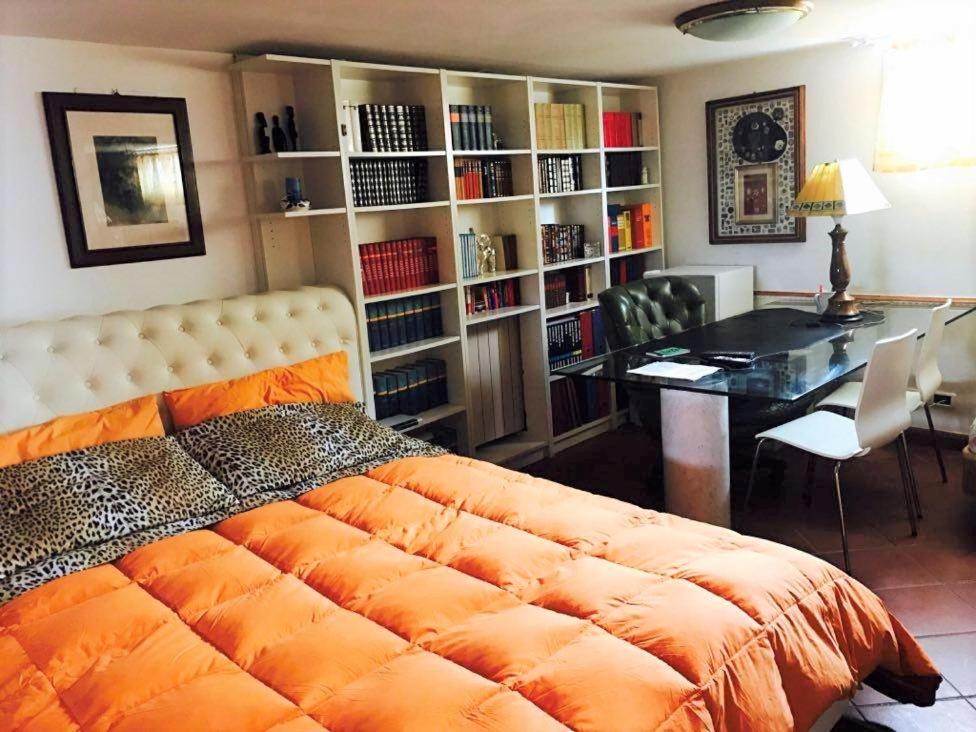 One-Bedroom Apartment - Photo 19