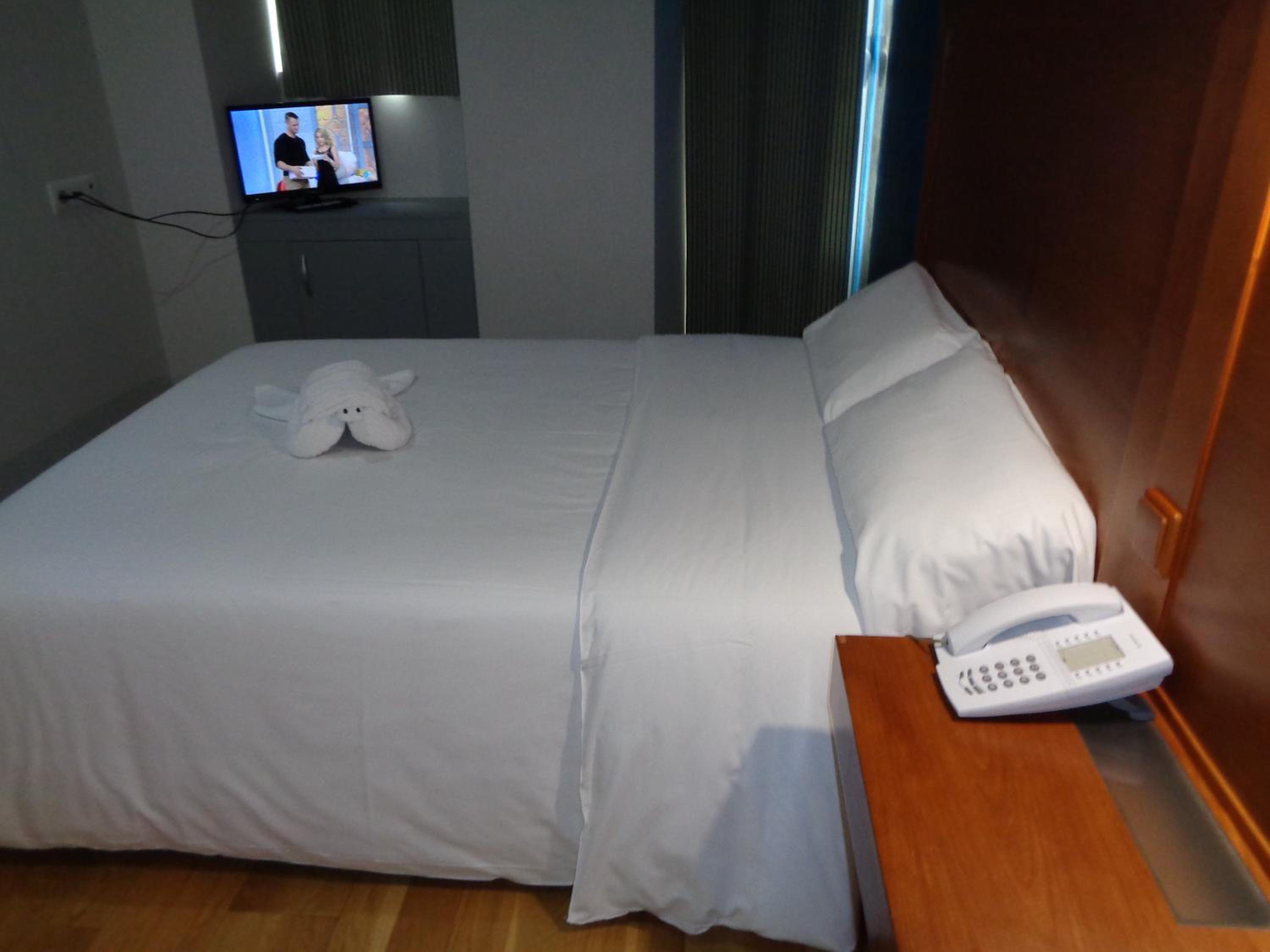 Single Room photo 2
