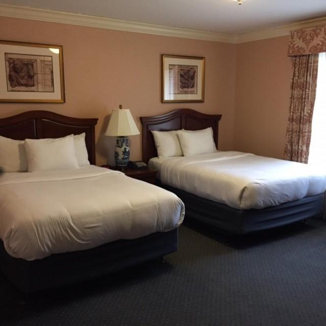 Double Room with Two Double Beds