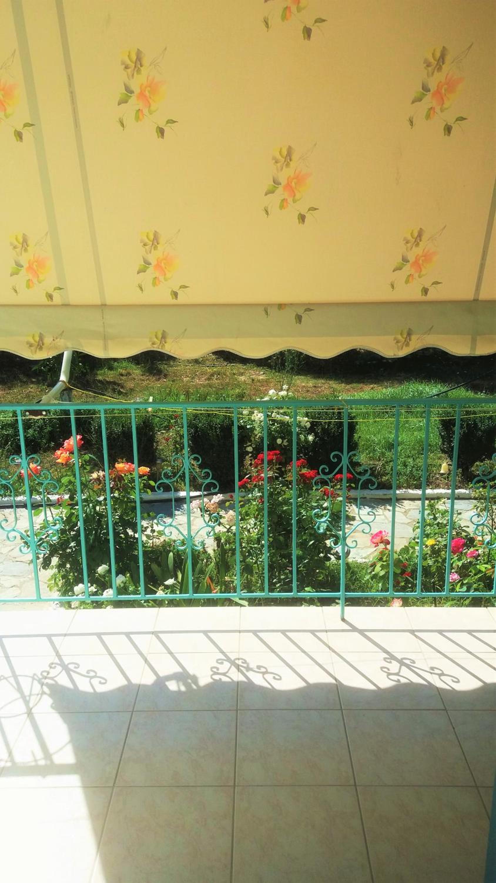Apartment - Ground Floor photo 2