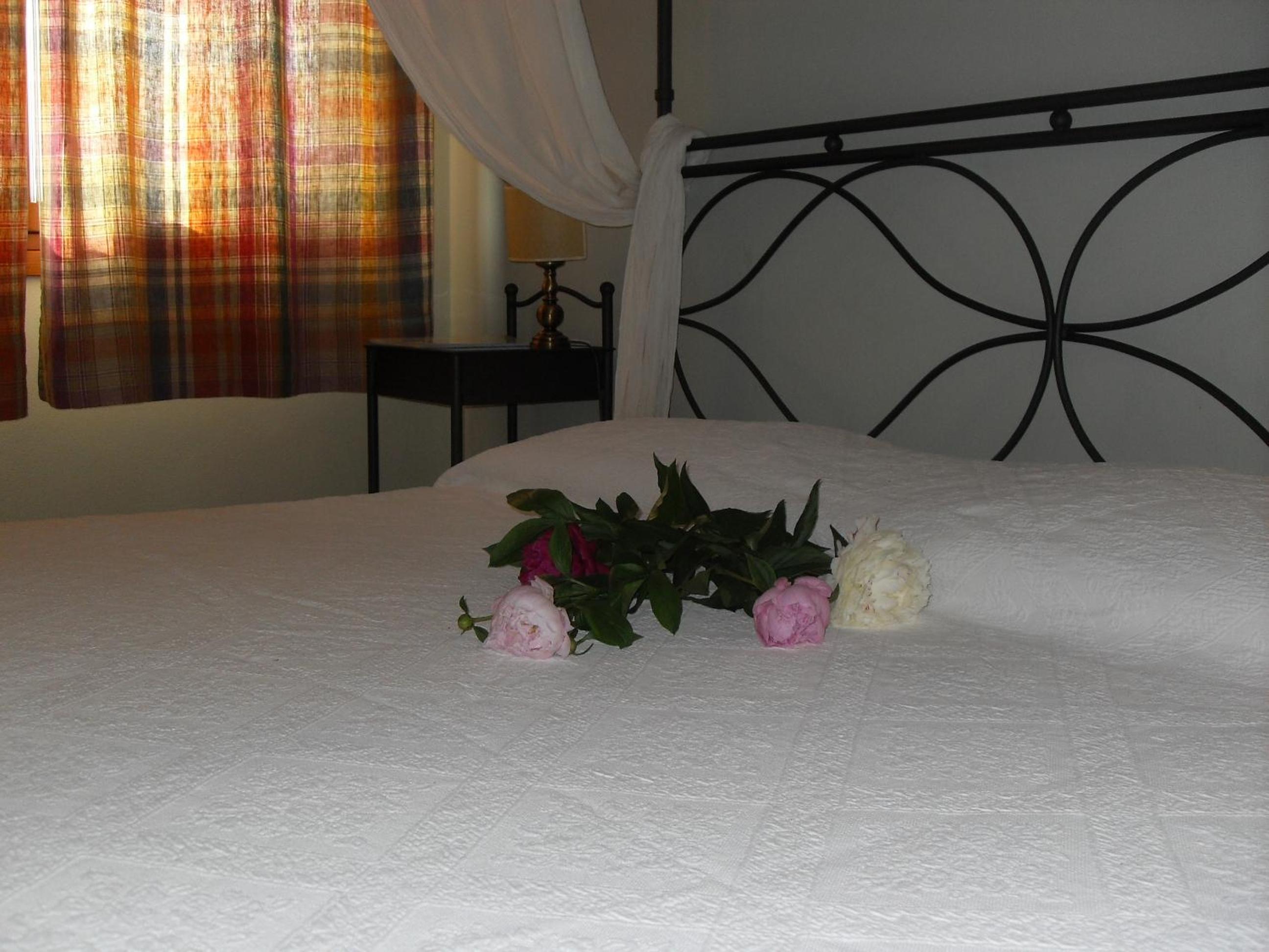 Quadruple Room - Photo 13
