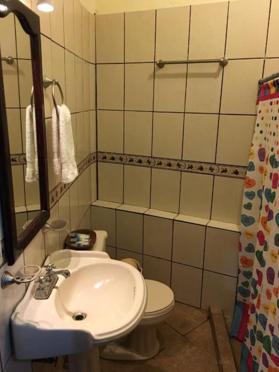Twin Room - Photo 4