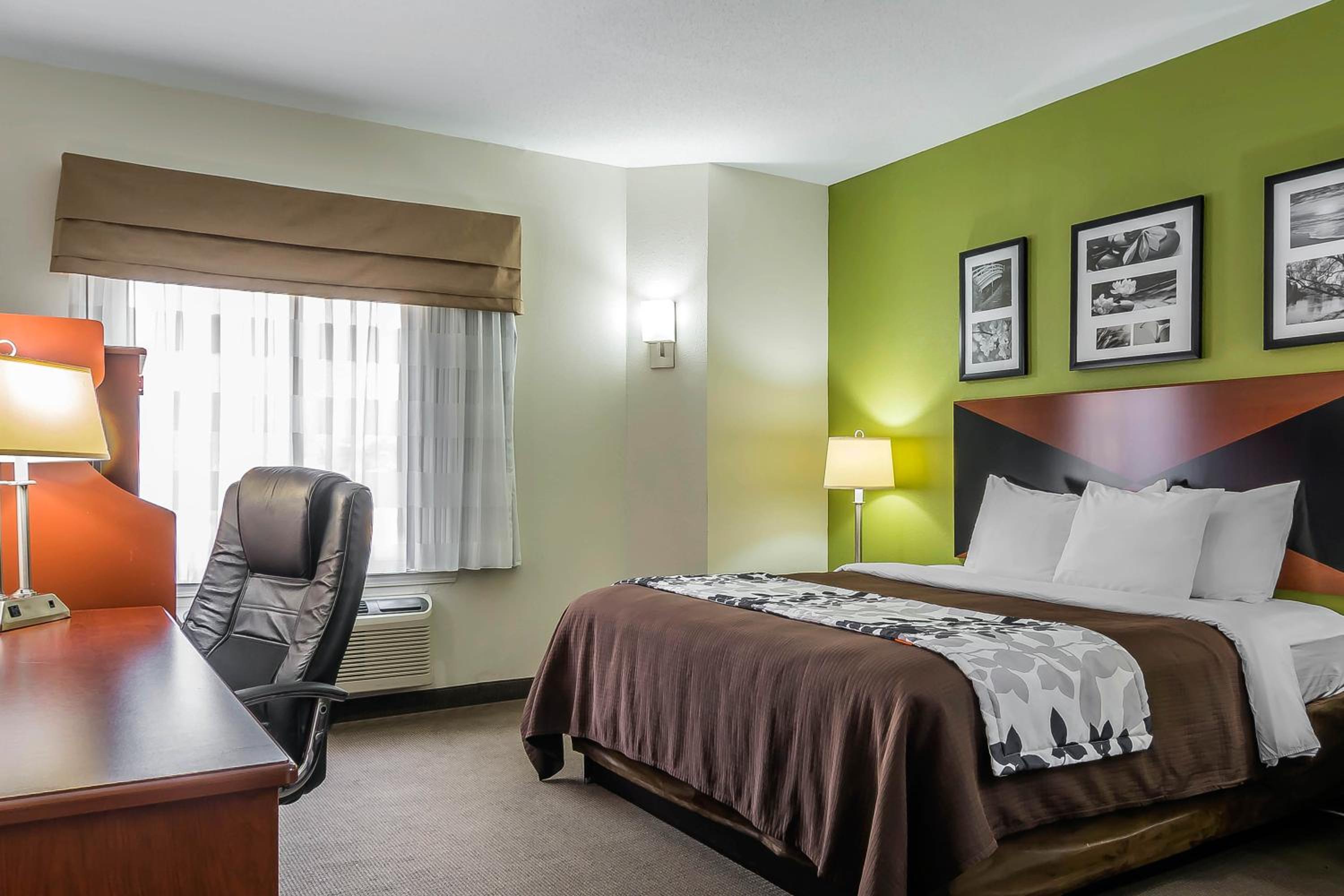King Room - Non-Smoking - Photo 1