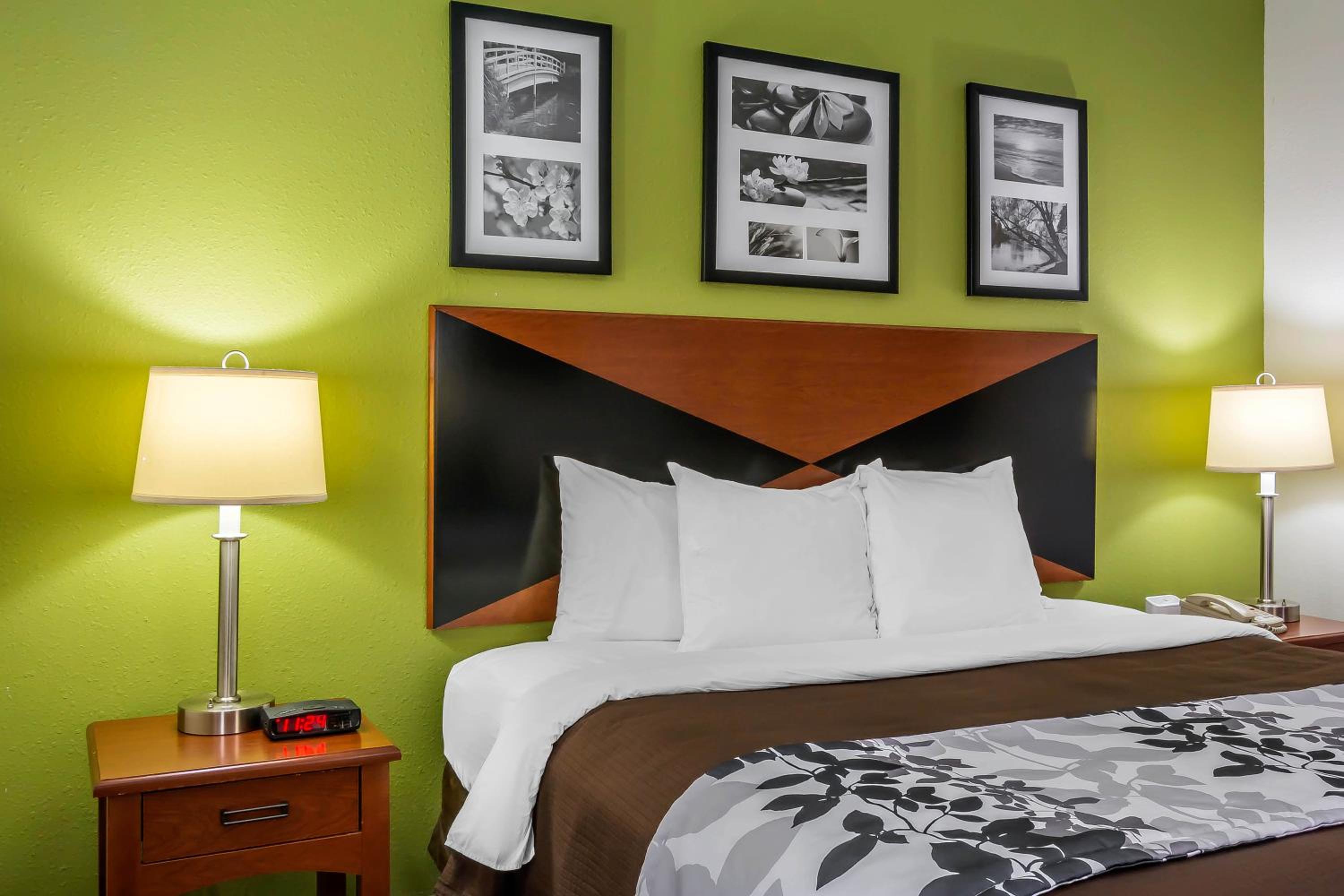 King Room - Non-Smoking - Photo 4