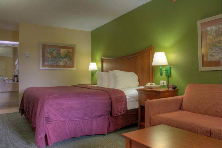 King Room - Non-Smoking - Photo 8
