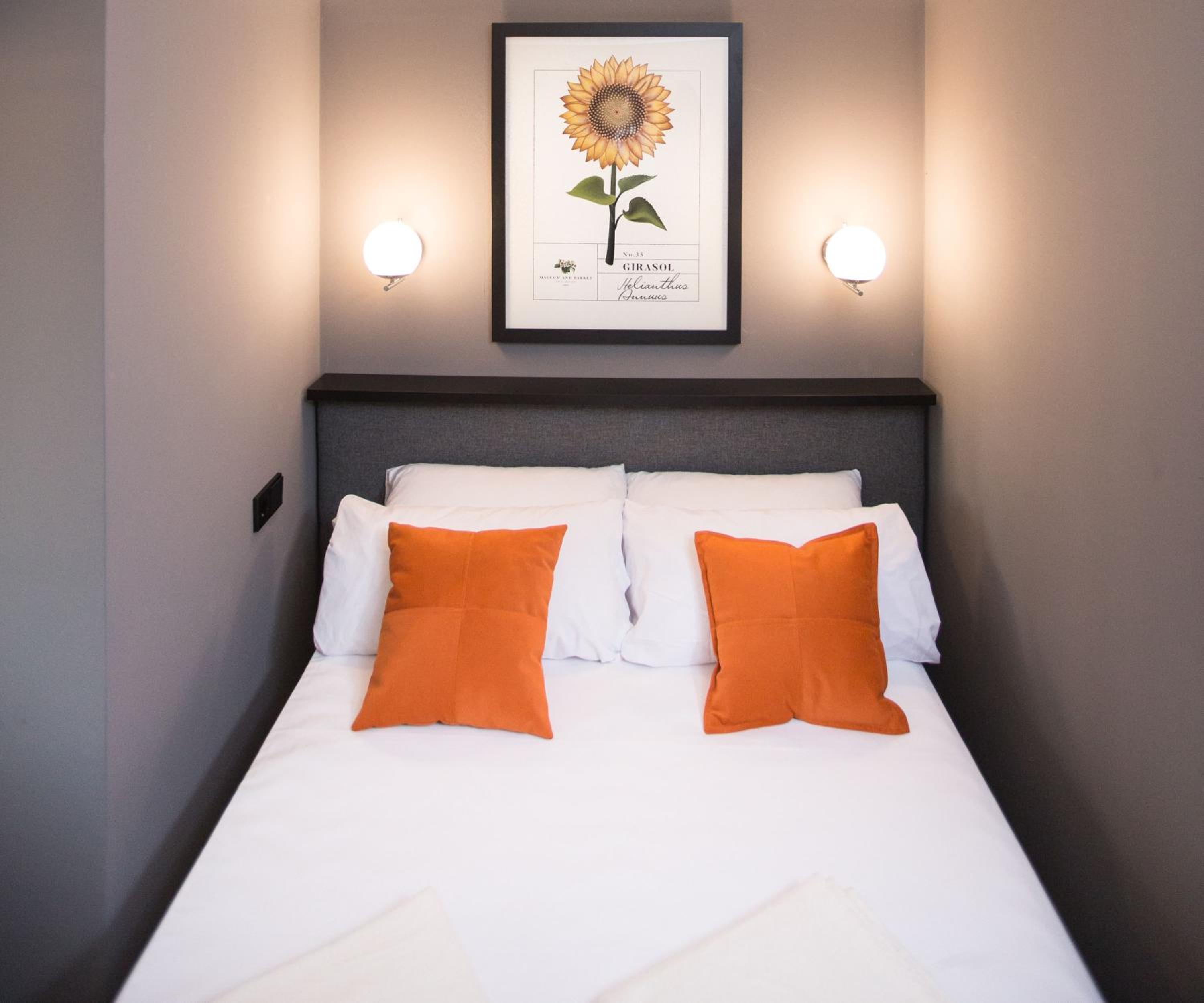 Single Room thumbnail 6