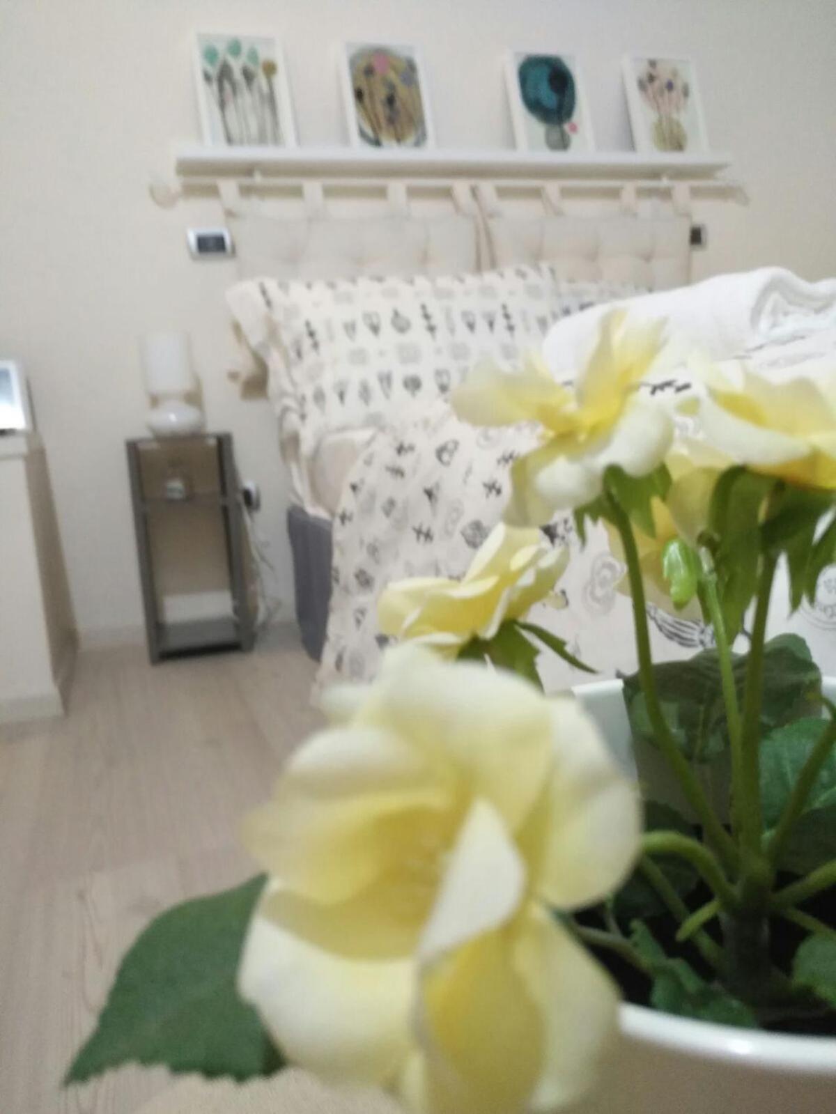 Double Room with Private External Bathroom photo 3