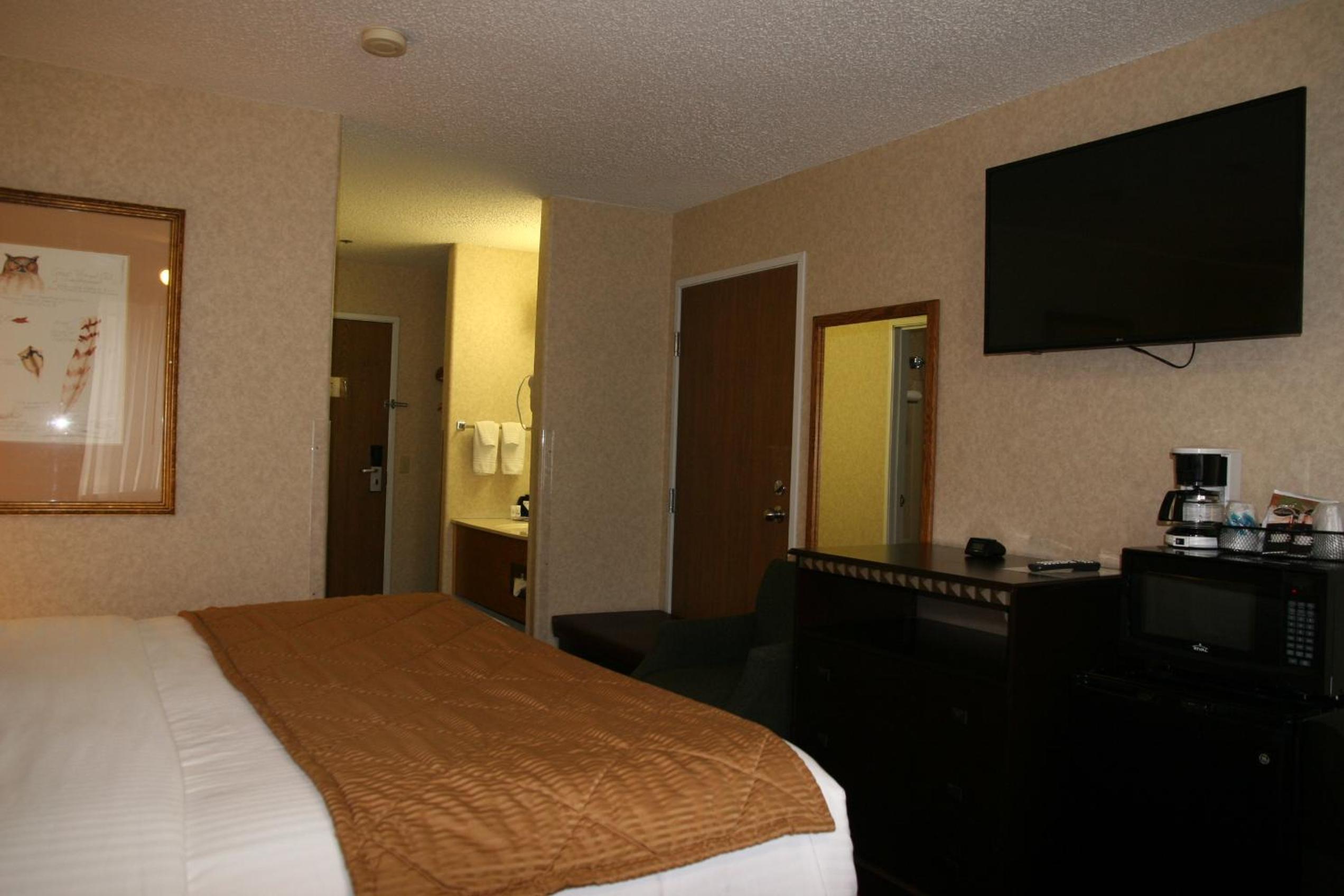  King Non Smoking Pet Friendly - Photo 1