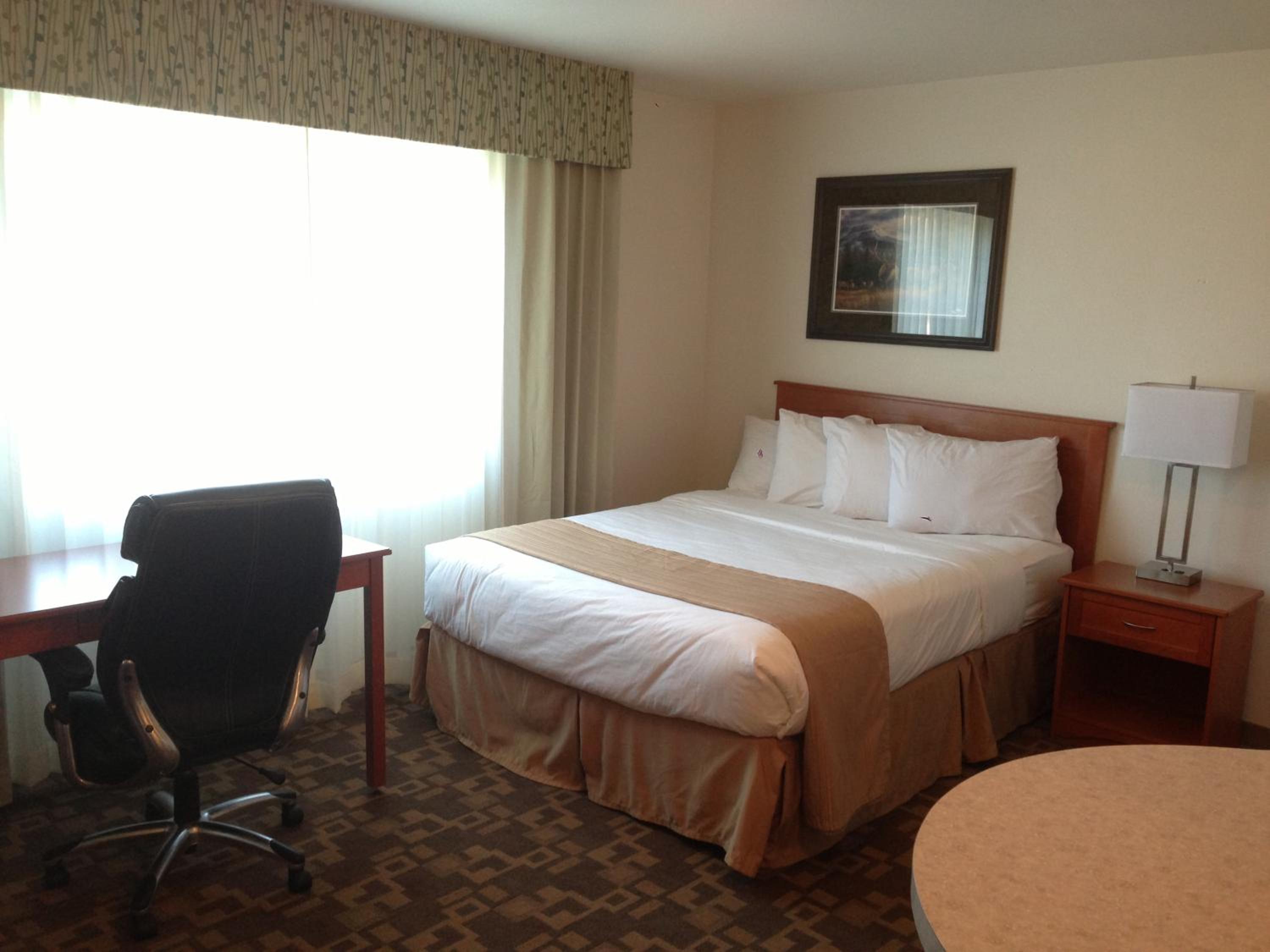 Queen Room - Photo 3