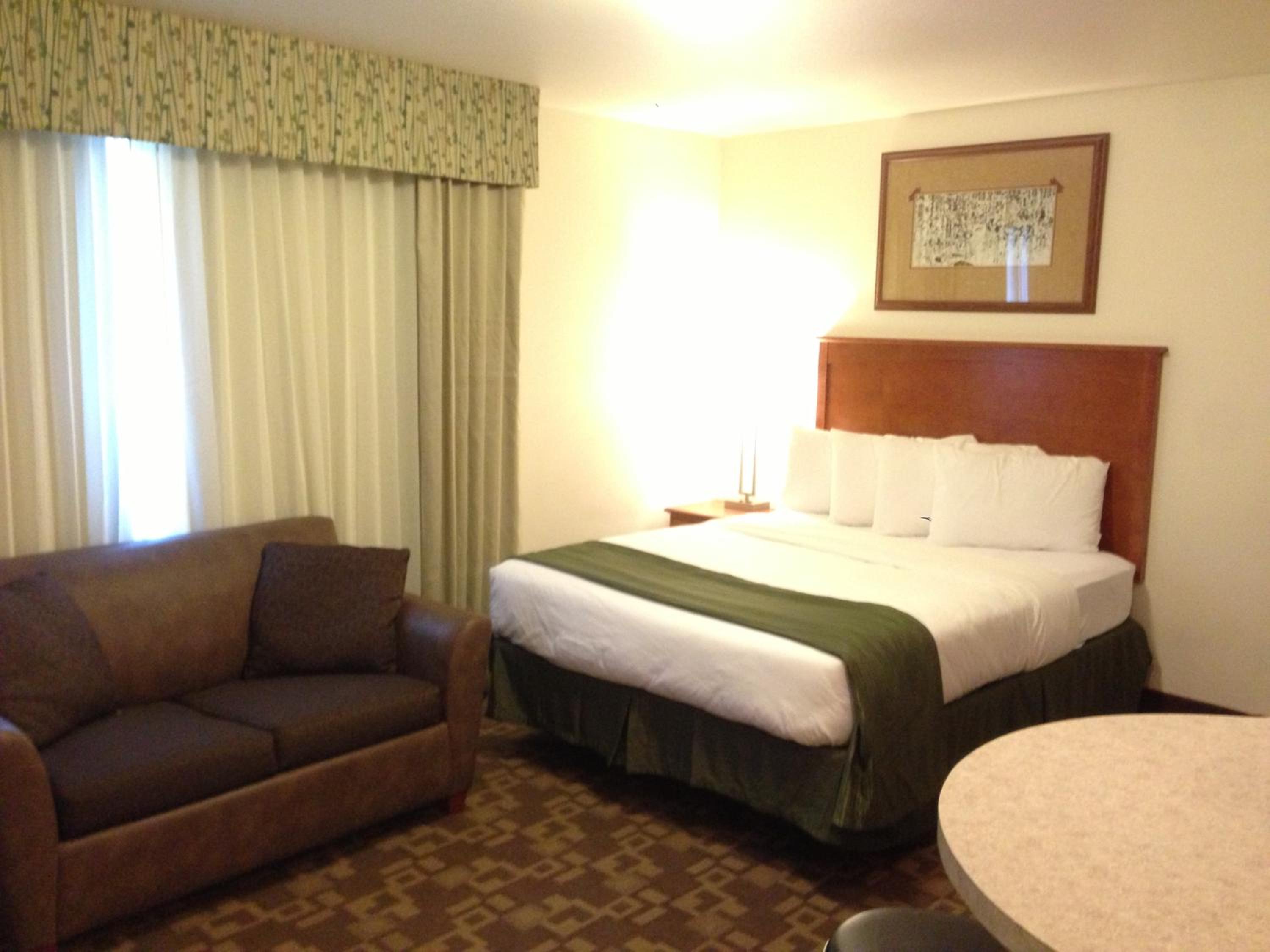 Queen Room with Sofa Bed photo 1