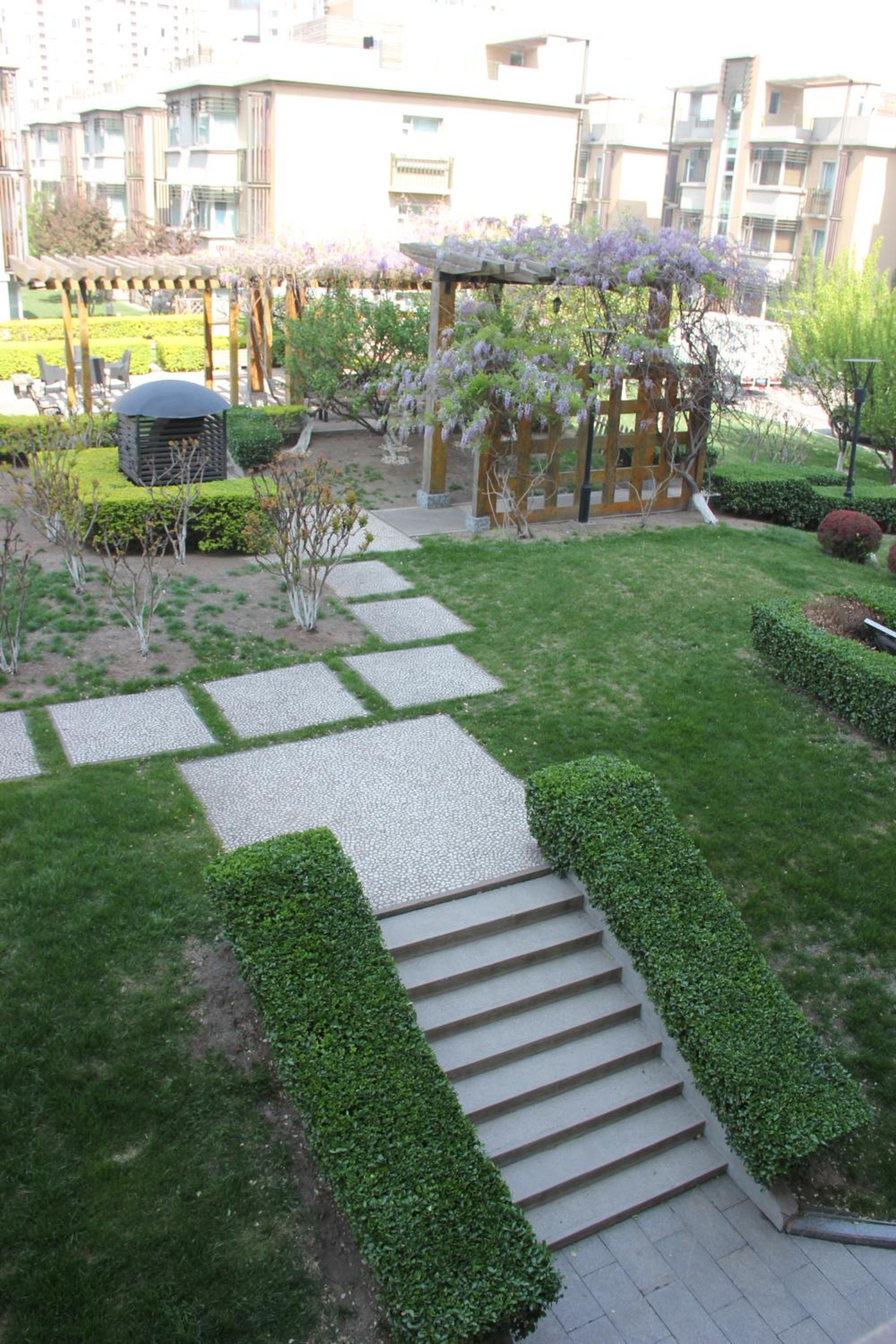 Green Suite photo 2