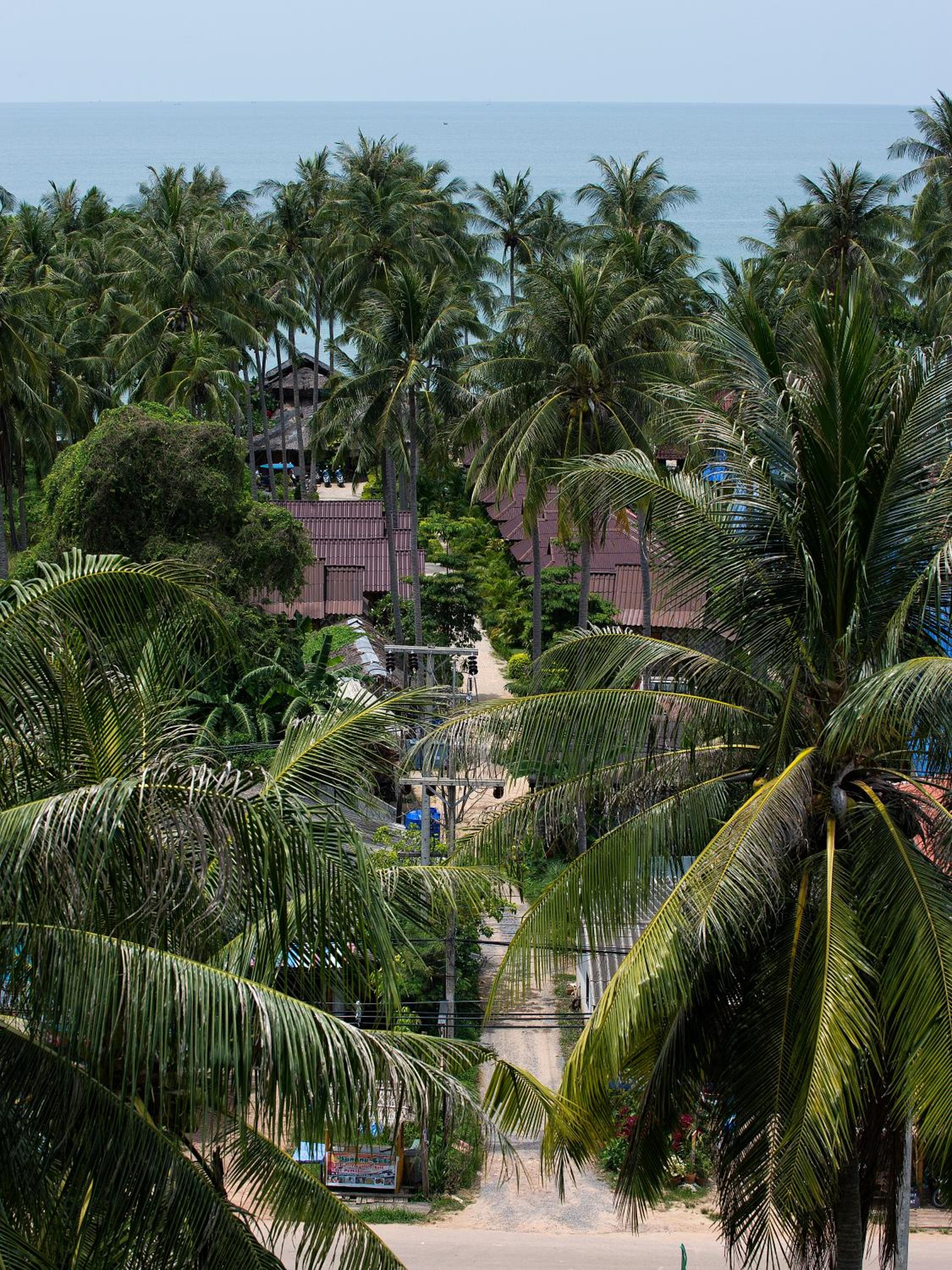 Deluxe Bungalow with Pool Side photo 2