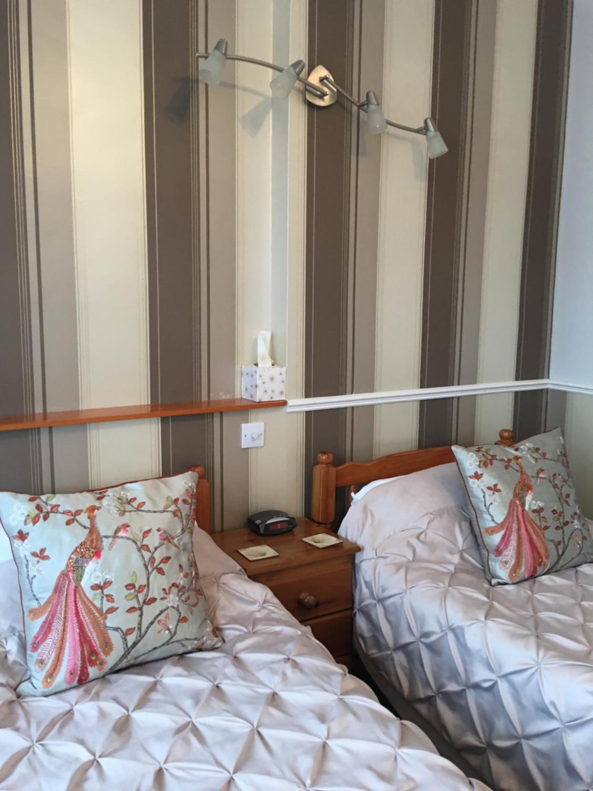Twin Room photo 3