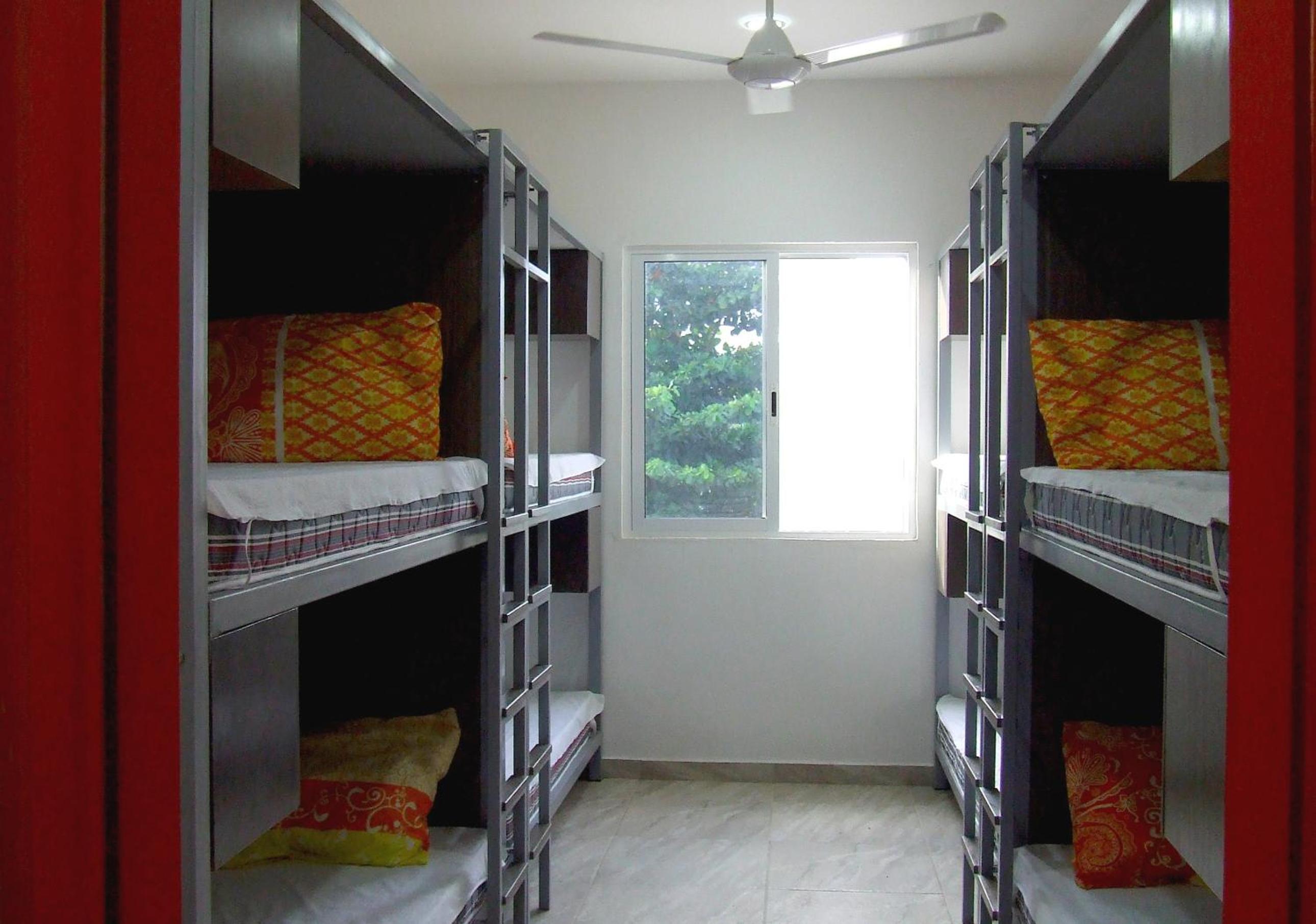 Bed in 8-Bed Mixed Dormitory Room photo 1