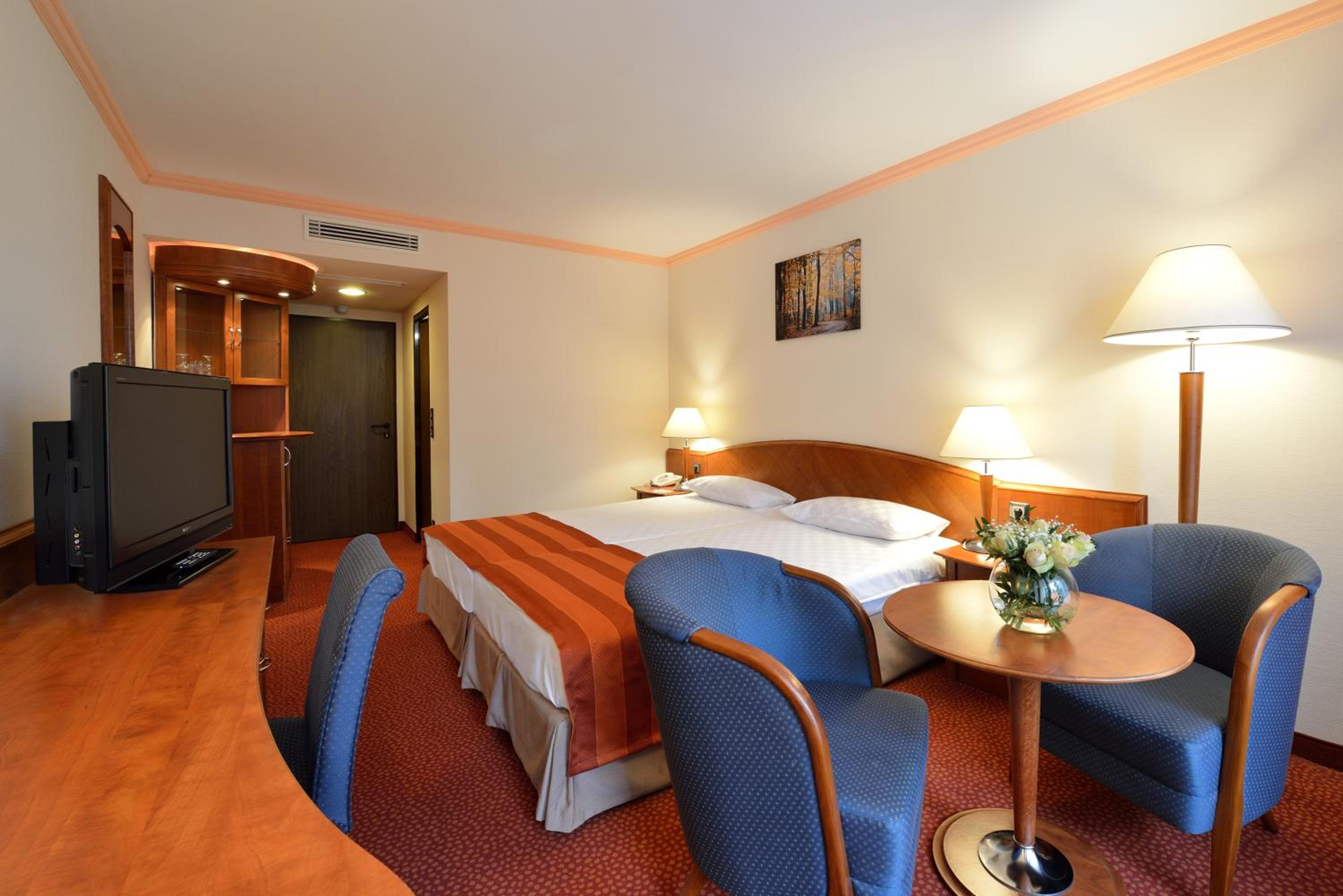 Superior Double Room with Wellness and Fitness Access
